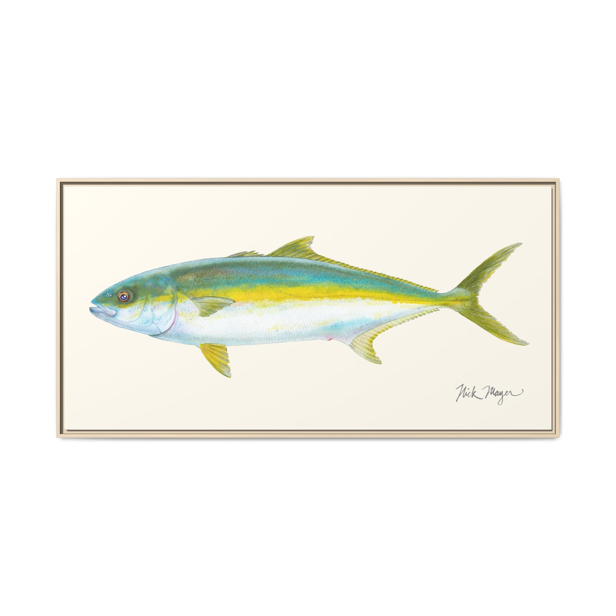 California Yellowtail I Framed Canvas Print Printify