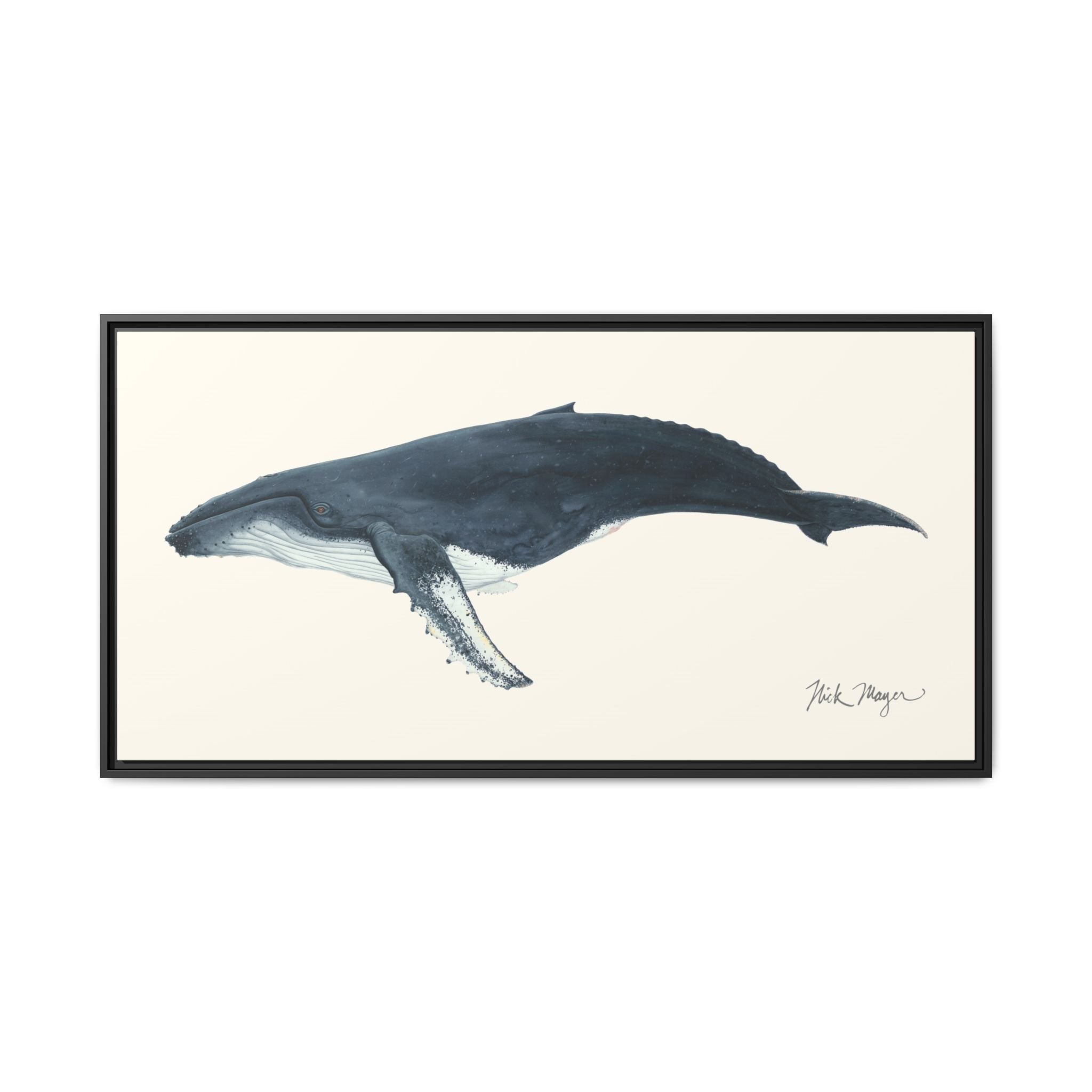 Humpback Whale Framed Canvas Print Printify