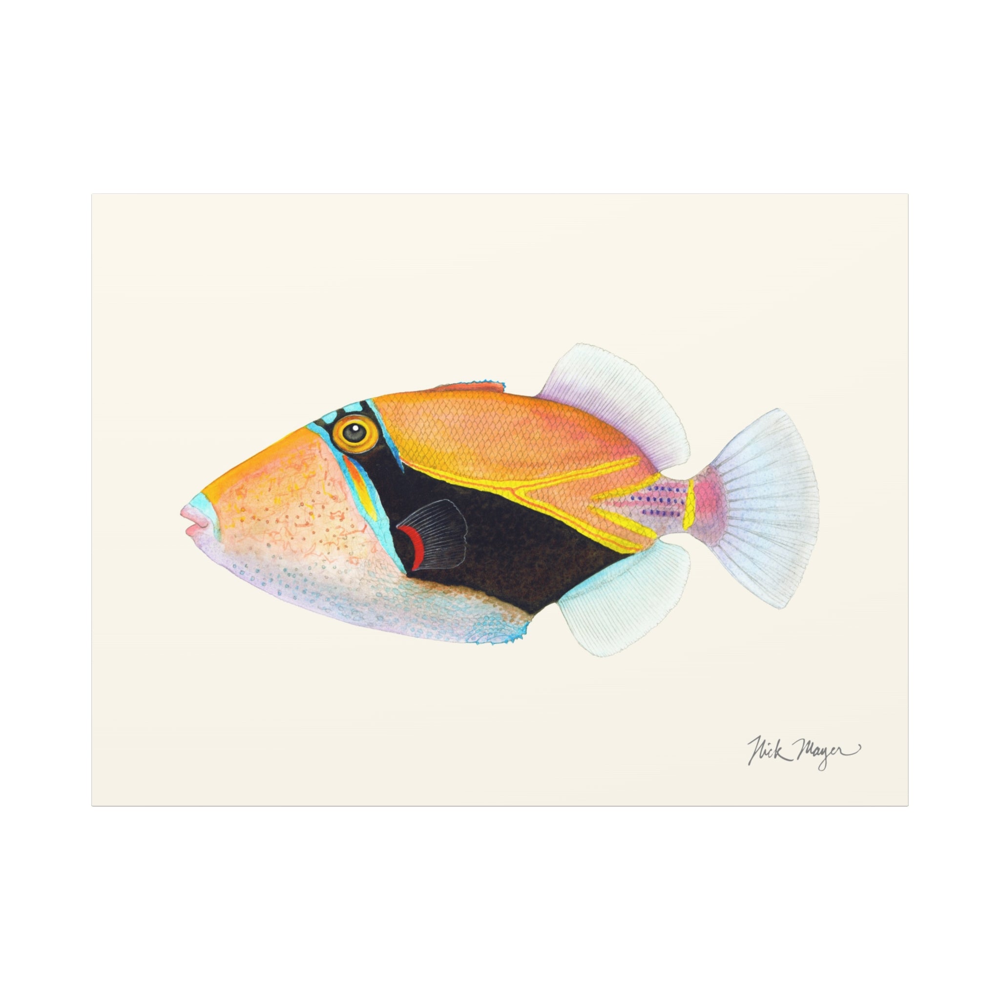 Humuhumunukunukuapua'a Canvas Print