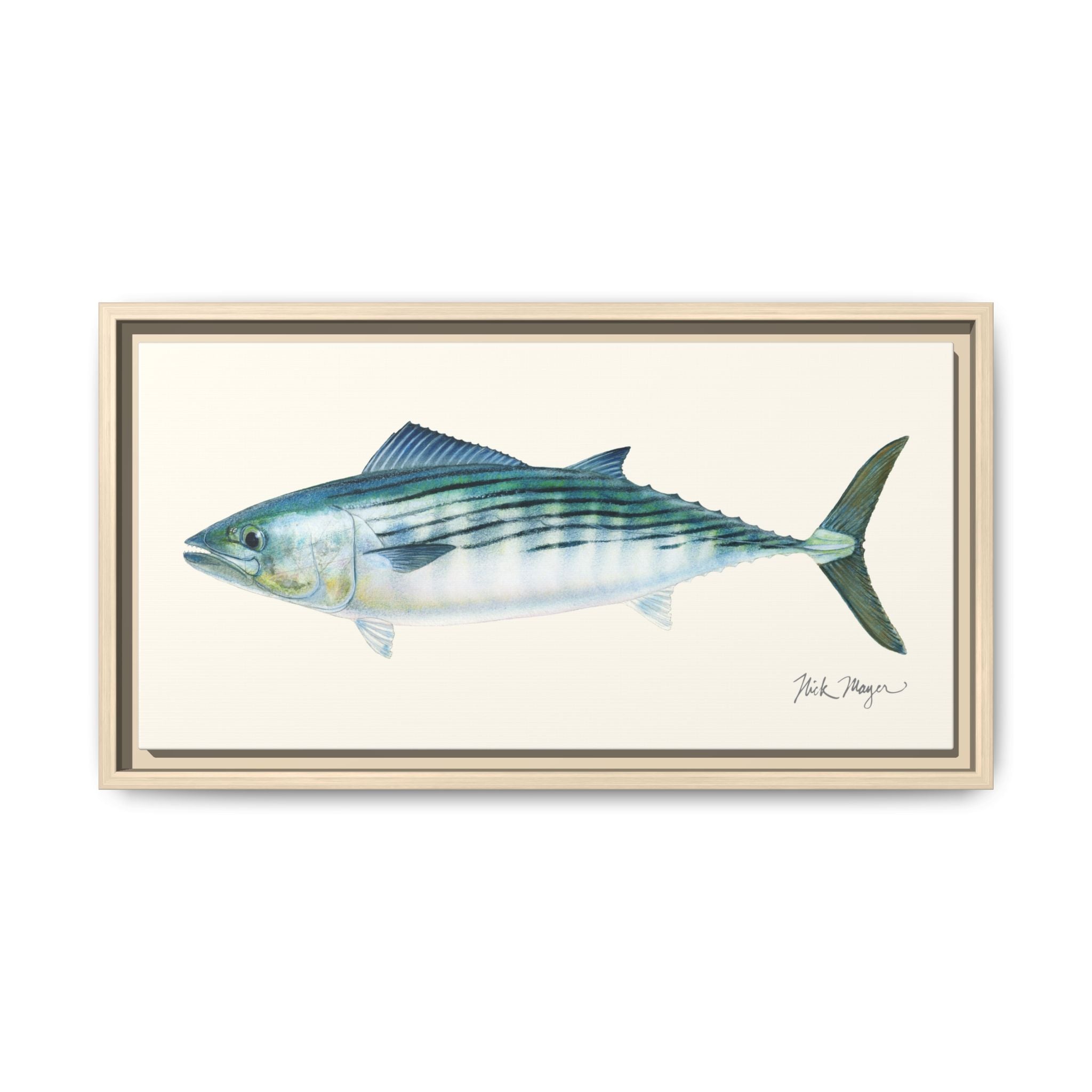 Bonito Framed Canvas Print Printify