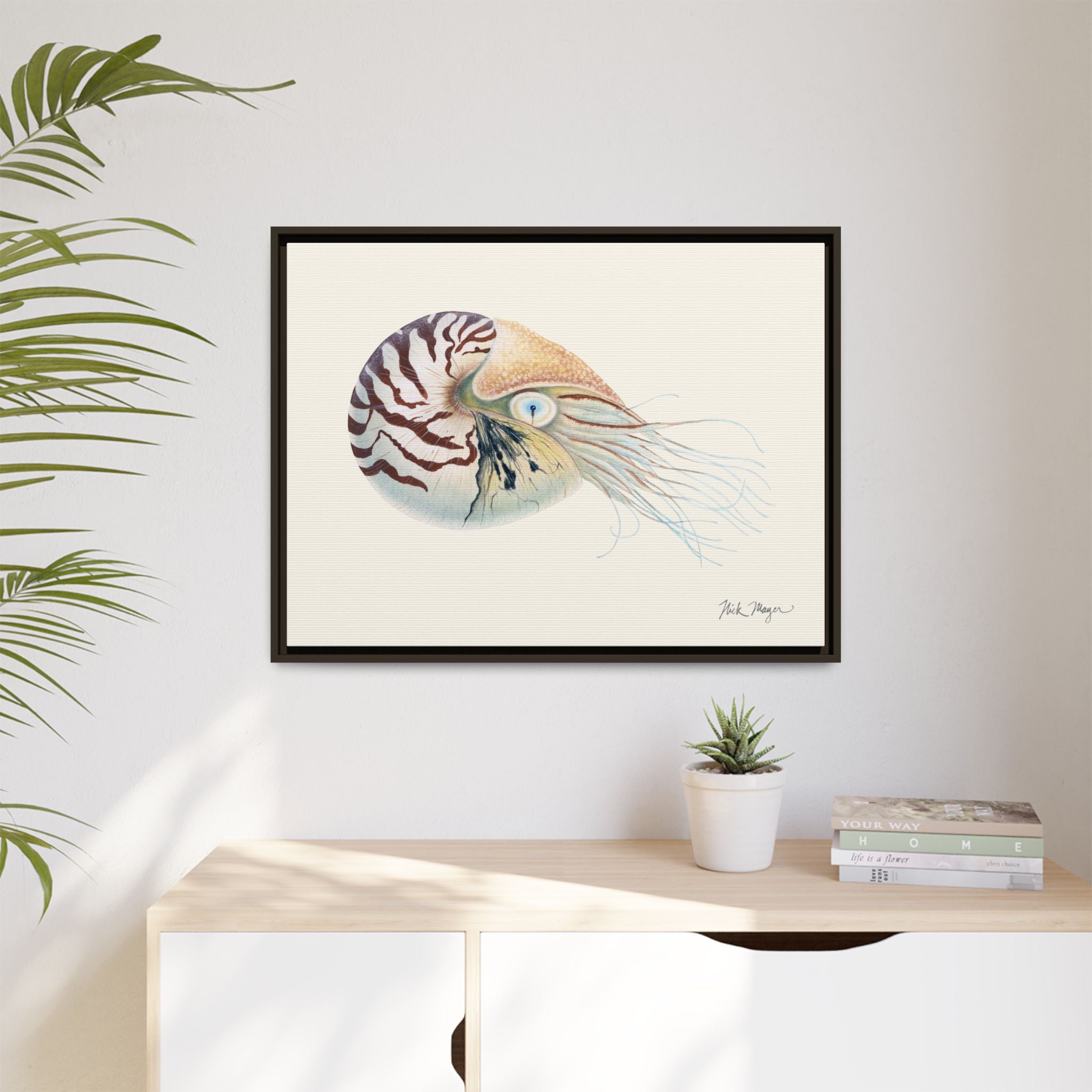 Chambered Nautilus Framed Canvas Print Printify