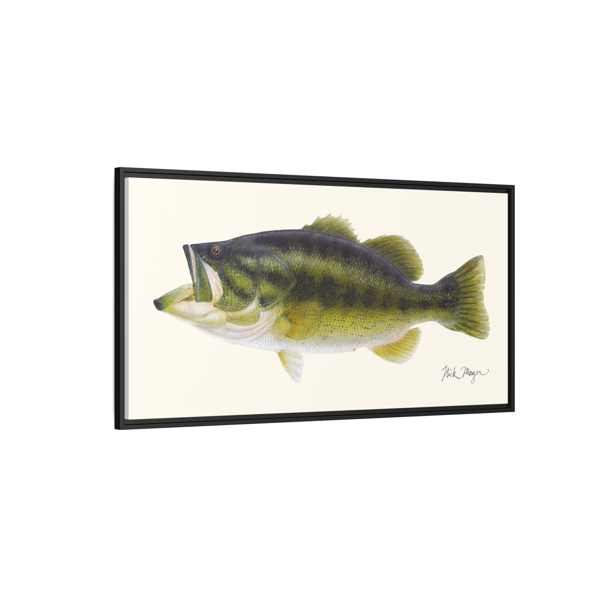 Largemouth Bass I Framed Canvas Print Printify