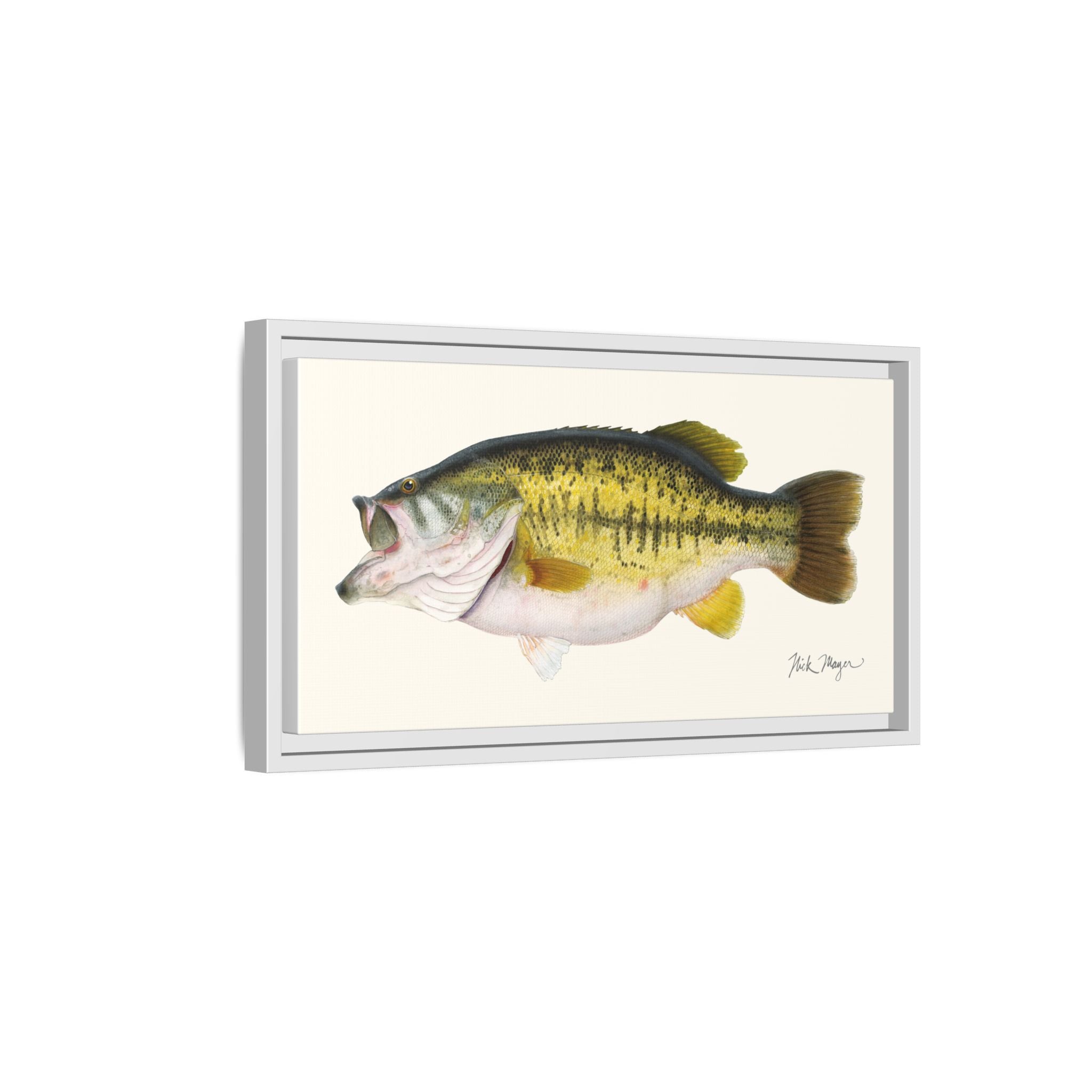 Largemouth Bass II Framed Canvas Print