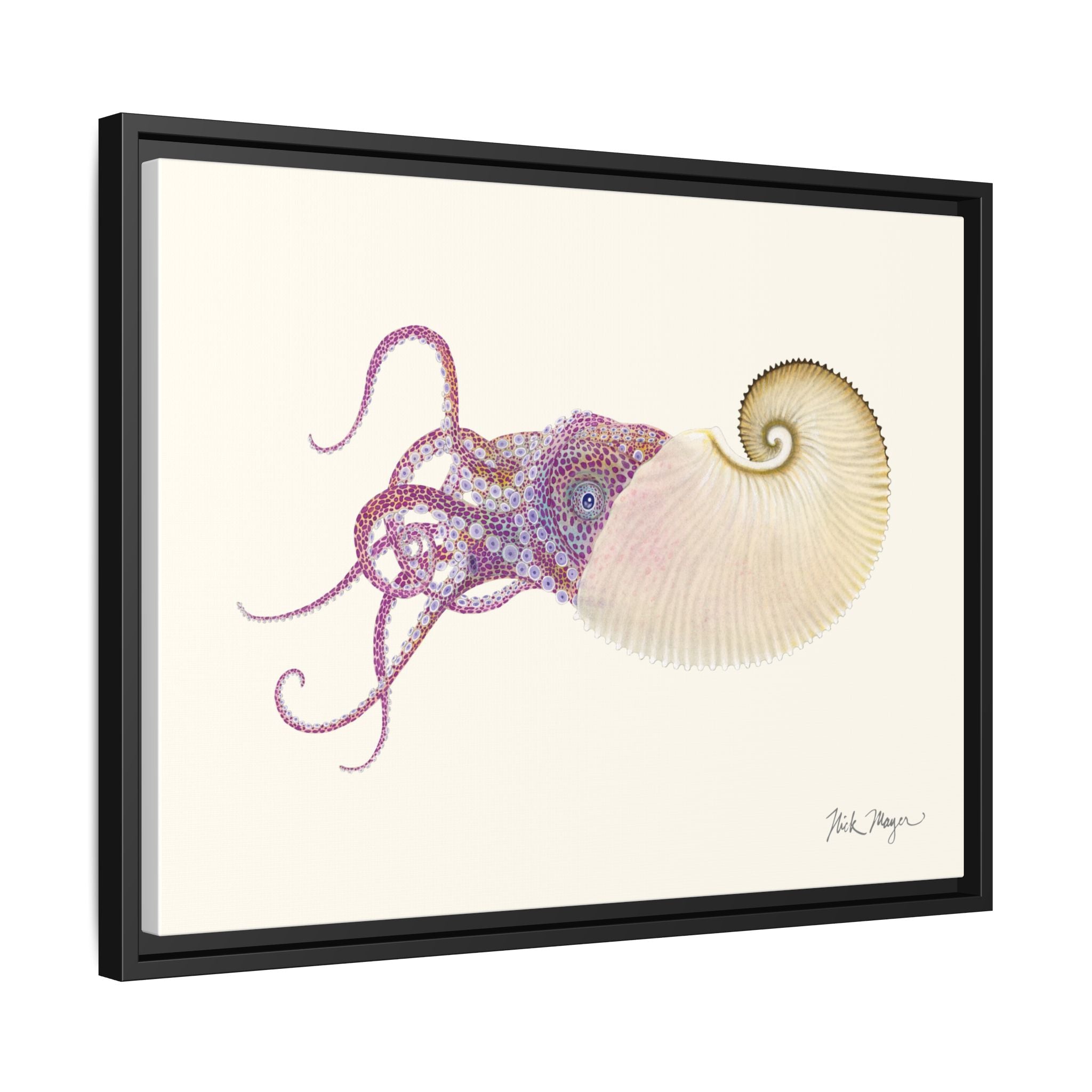 Paper Nautilus Framed Canvas Print Printify