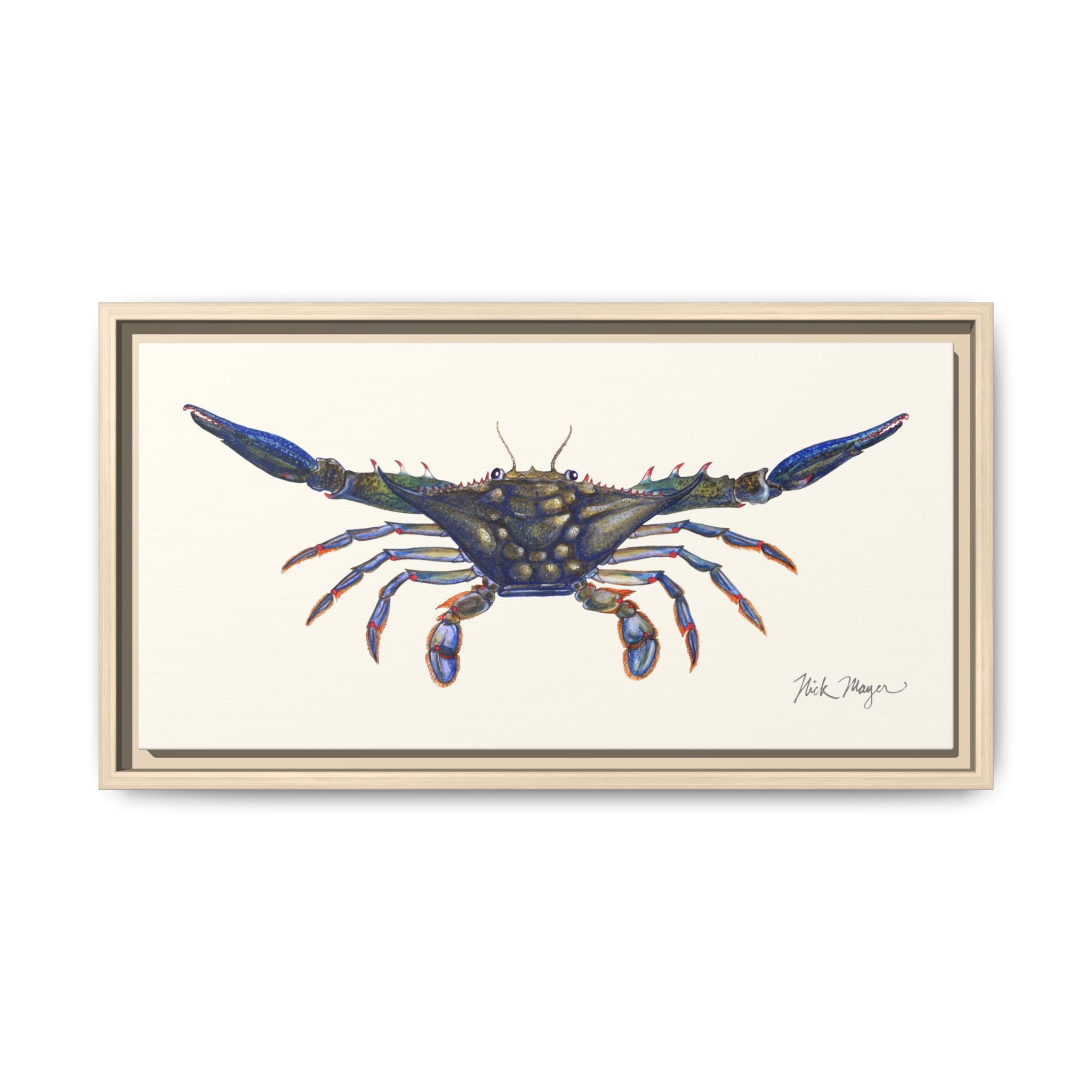 Blue Crab, Claws Out Framed Canvas Print Printify