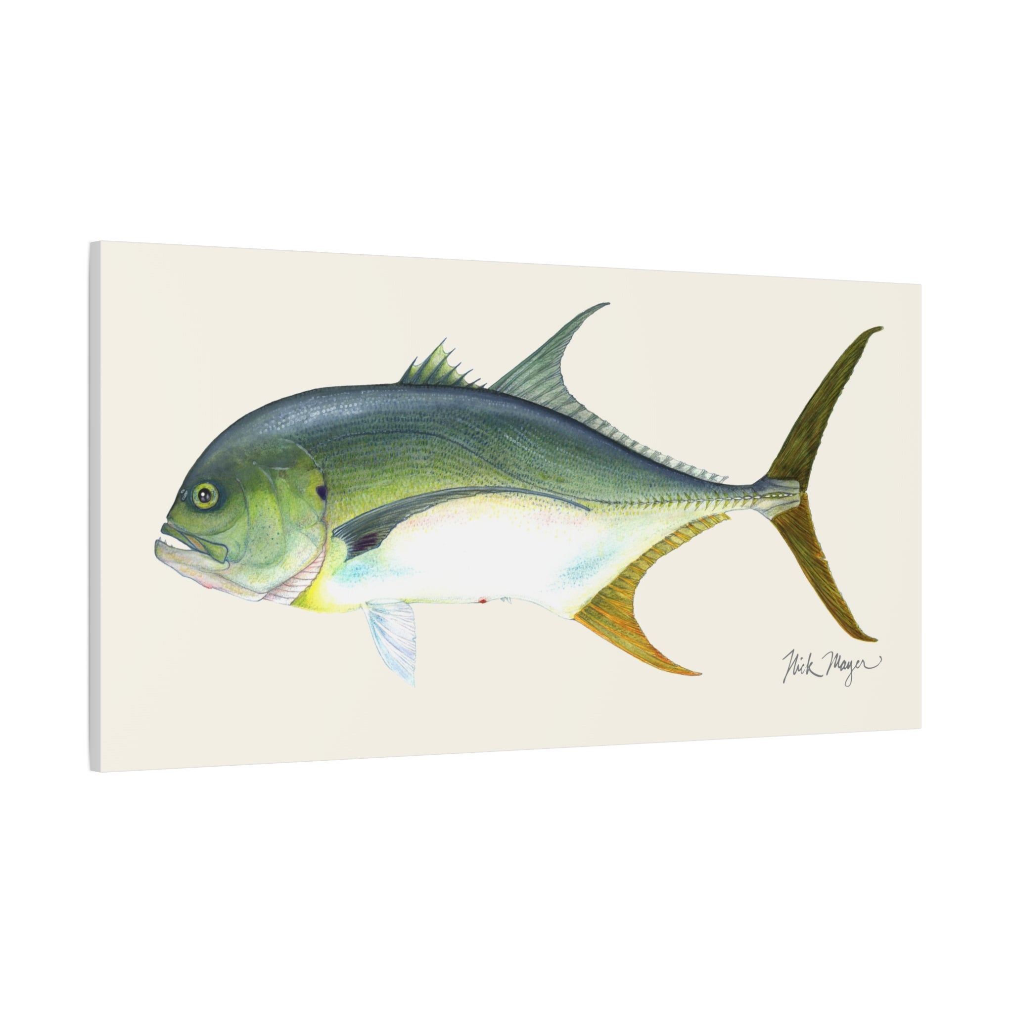 Jack Crevalle Canvas Print