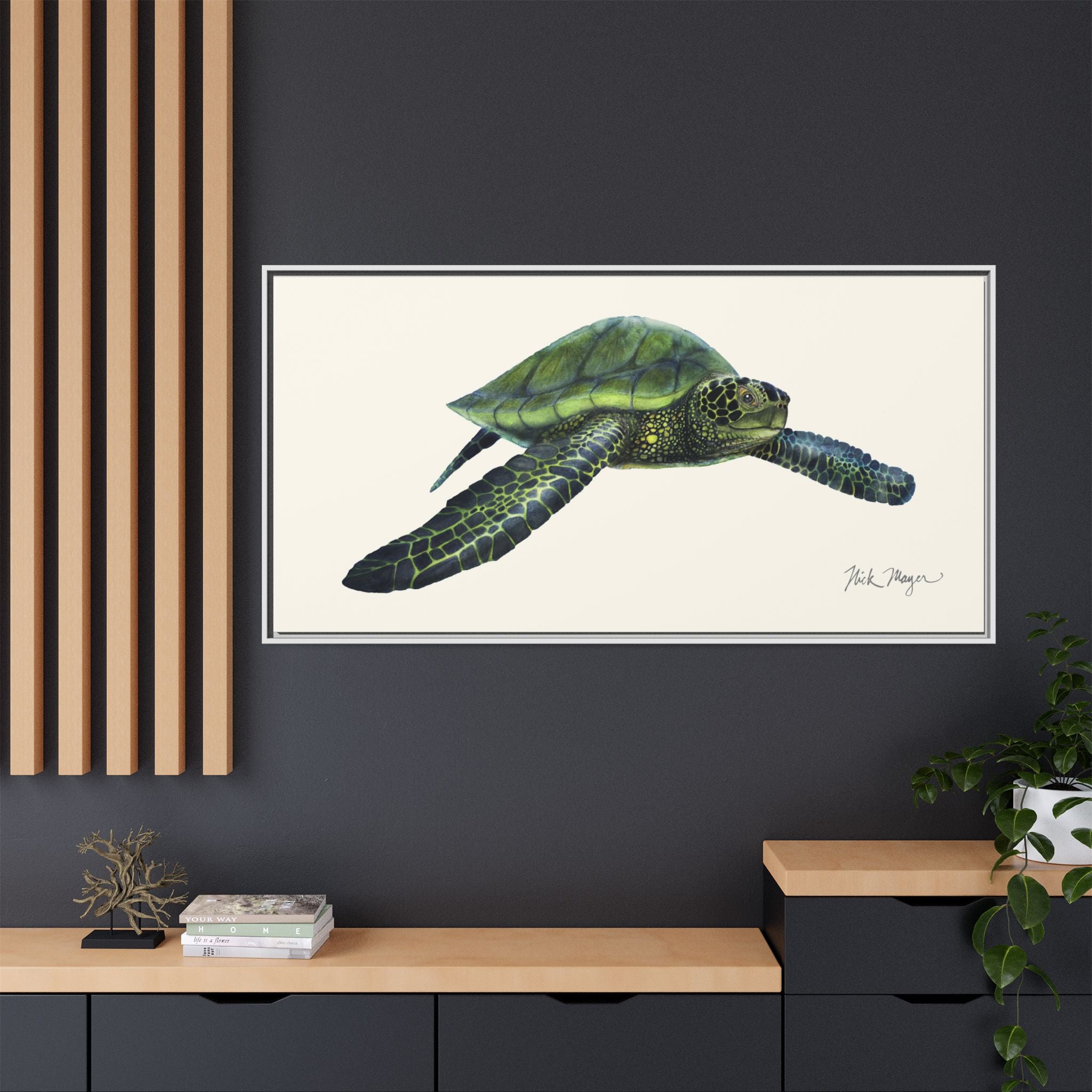 Green Sea Turtle I Framed Canvas Print Printify