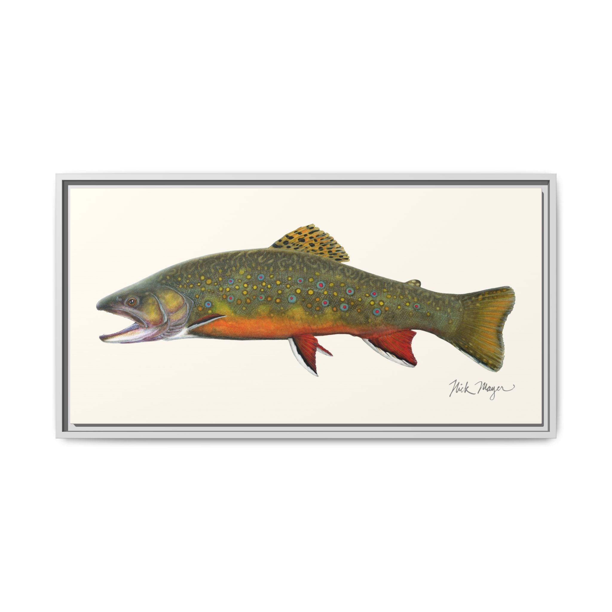 Beaver Pond Brook Trout Framed Canvas Print Printify