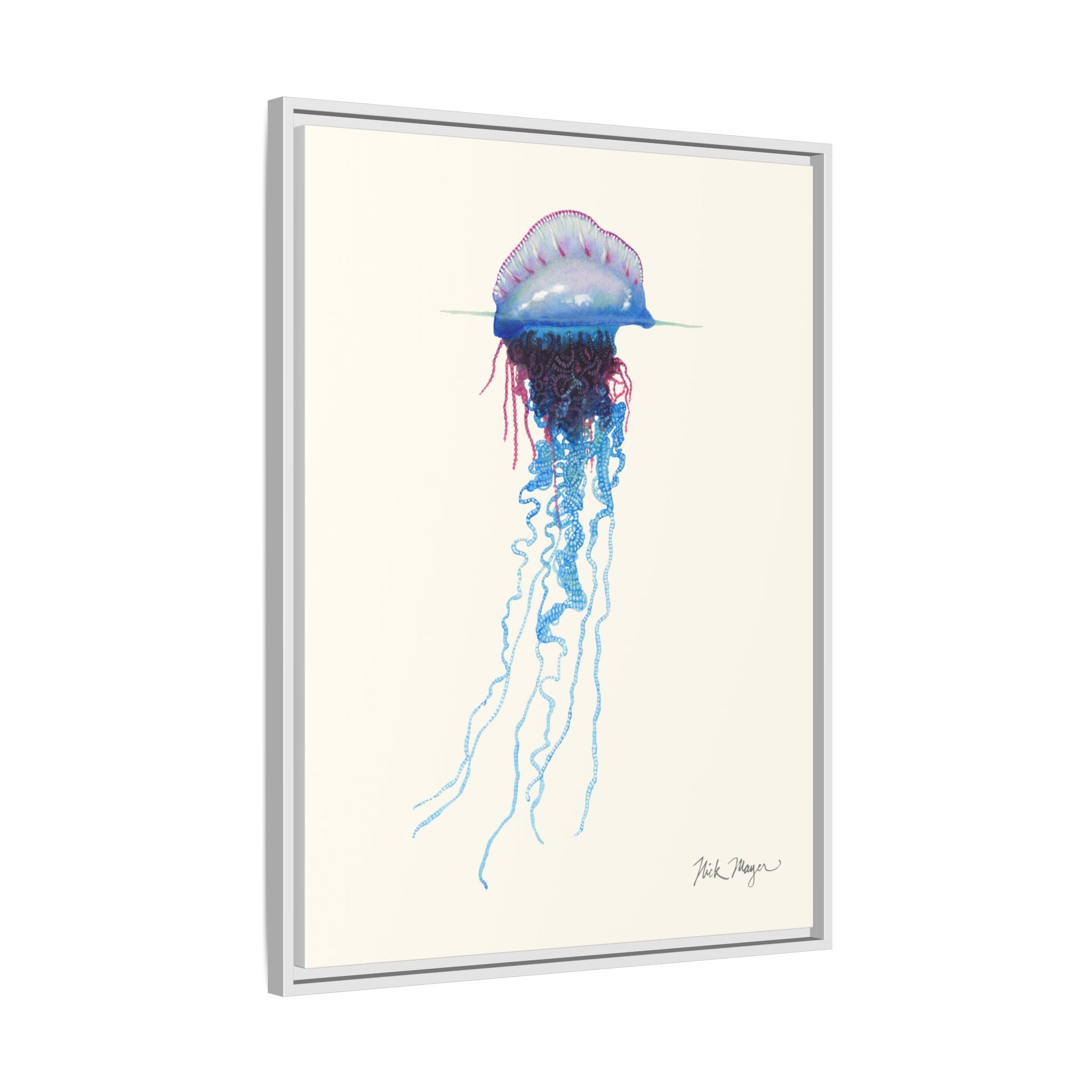 Portuguese Man O' War Framed Canvas Print Printify
