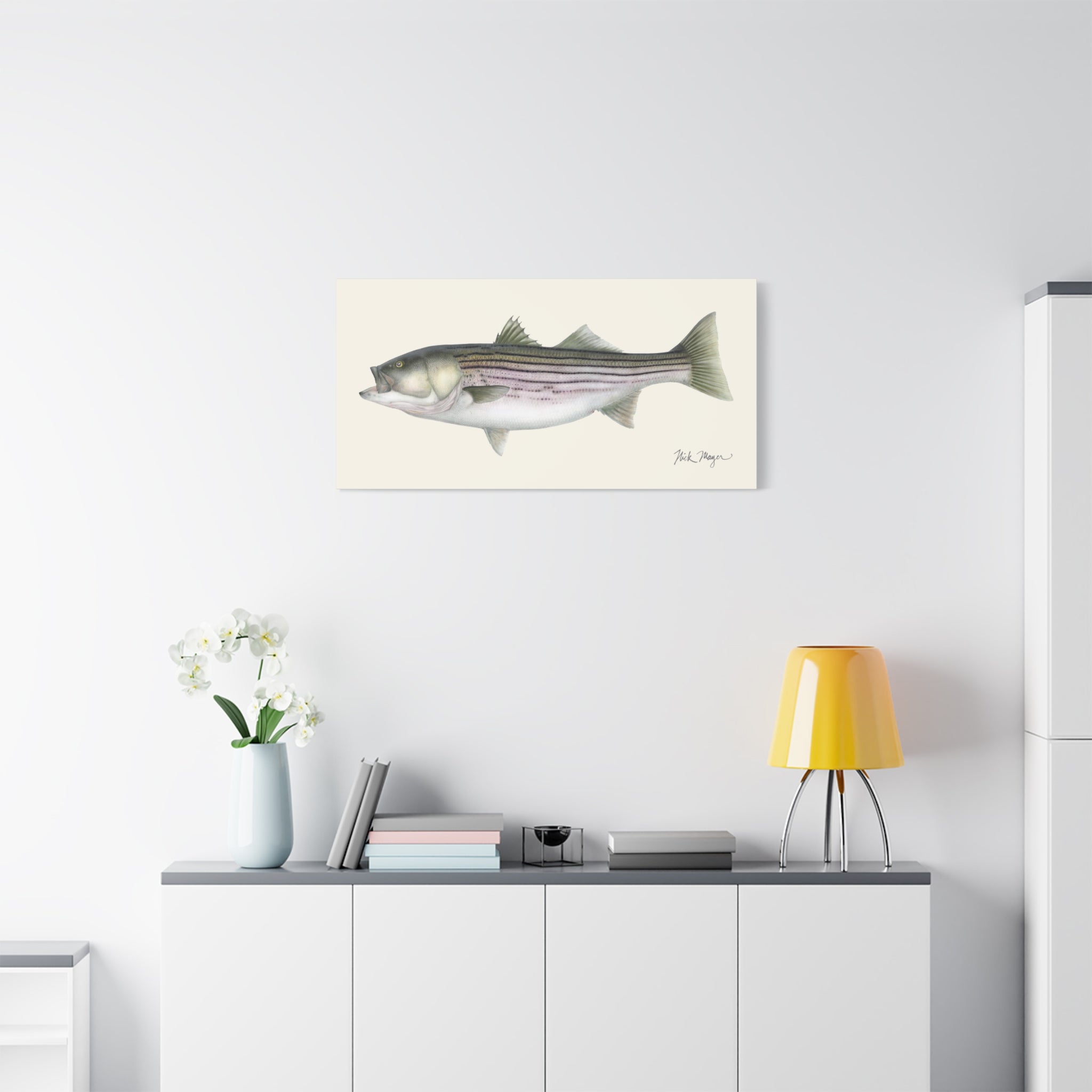 Striped Bass, 30 lbs Canvas Print