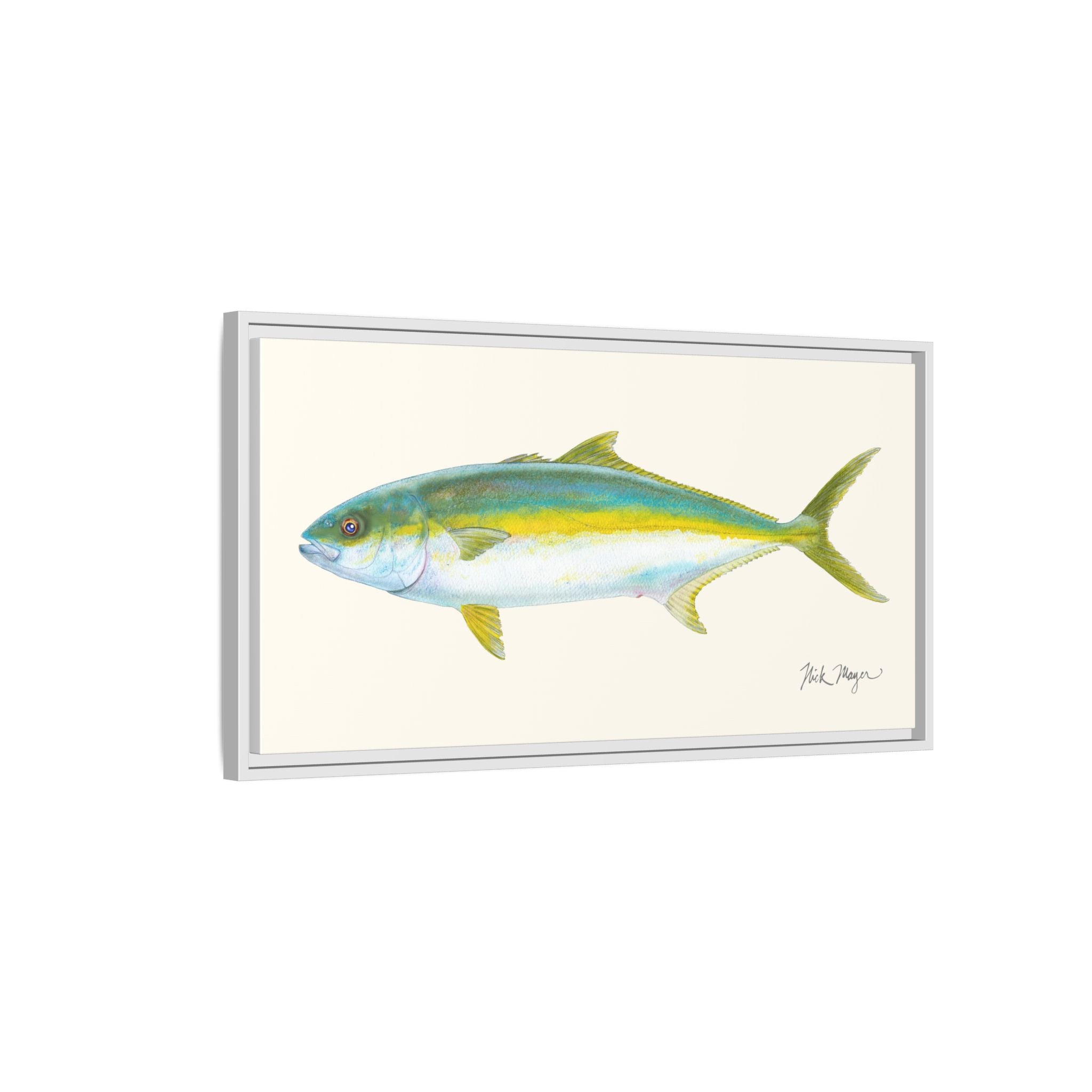 California Yellowtail I Framed Canvas Print Printify
