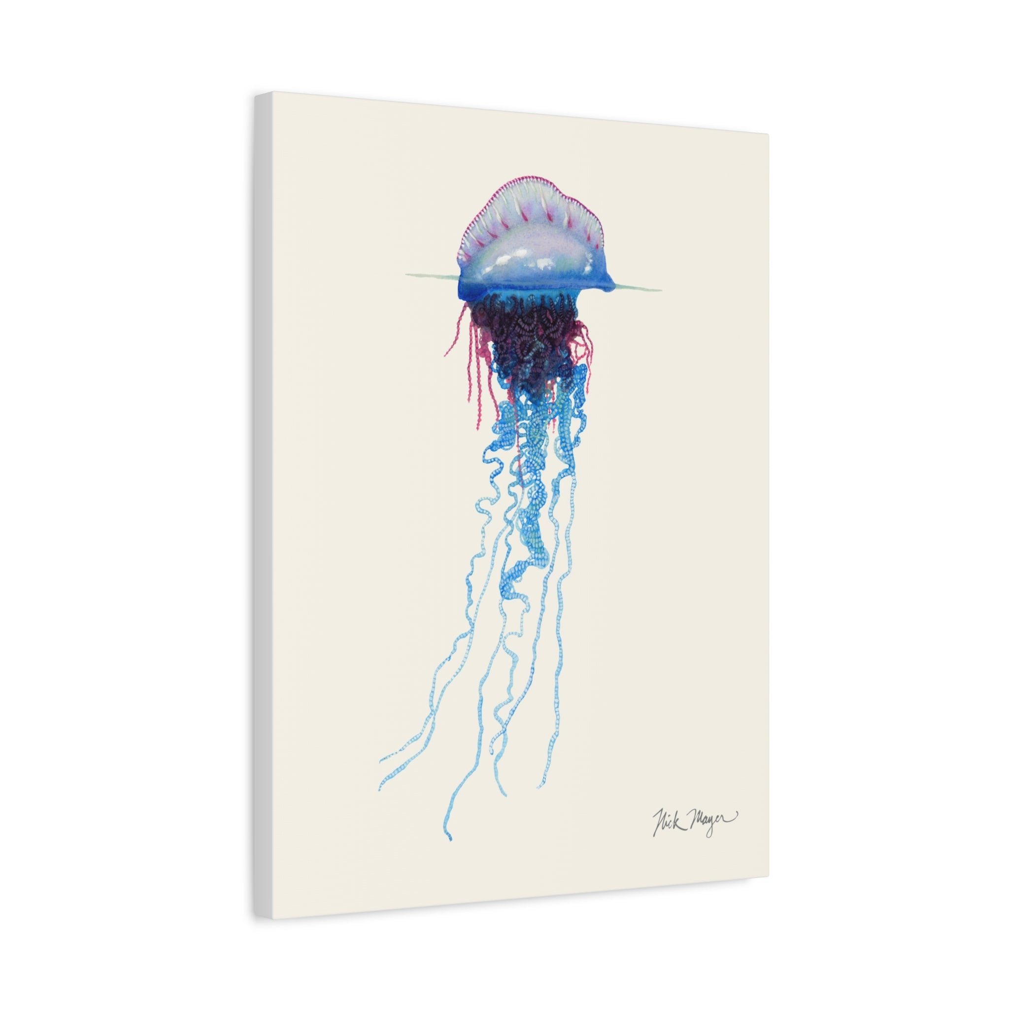 Portuguese Man O' War Canvas Print