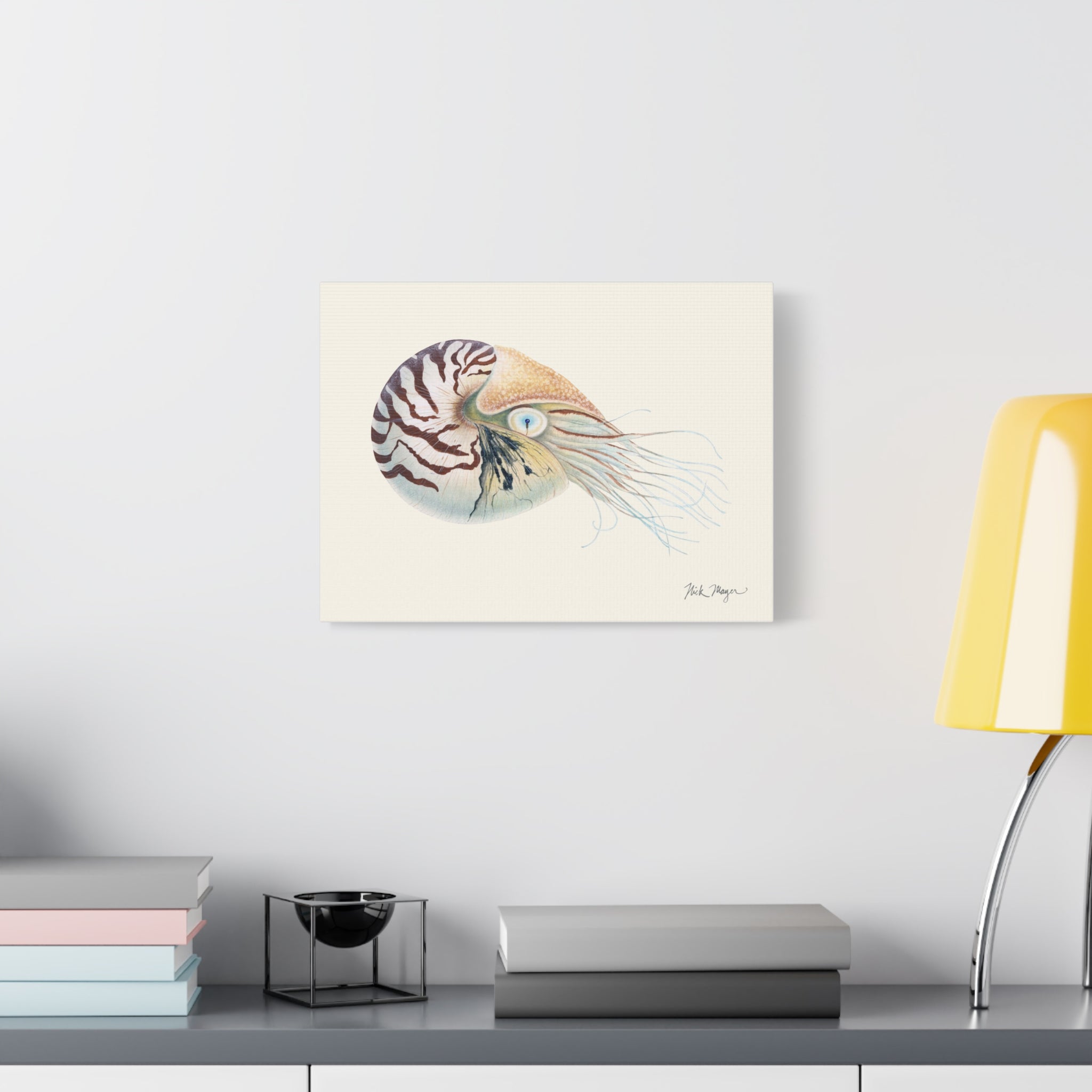 Chambered Nautilus Canvas Print