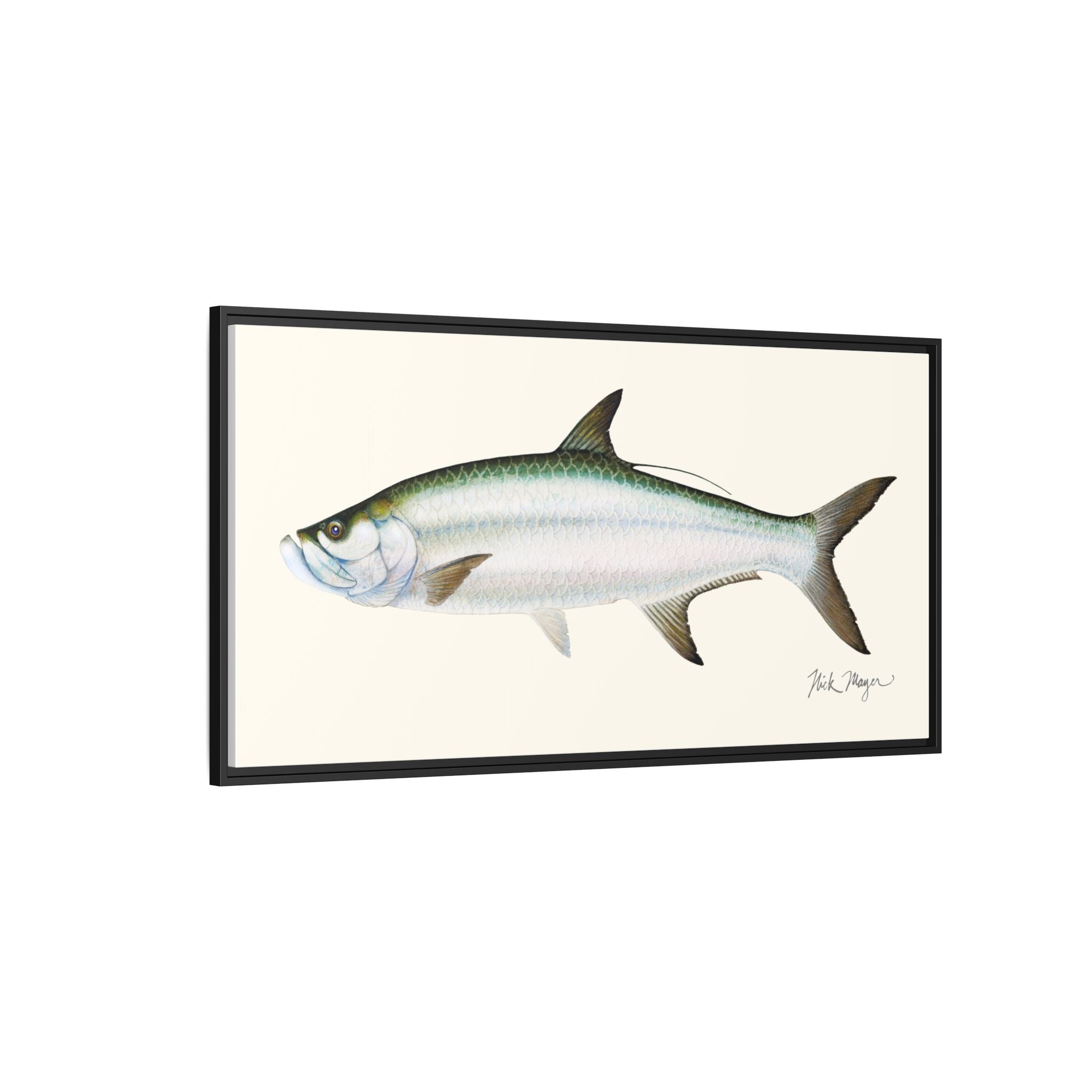 Tarpon Framed Canvas Print Printify