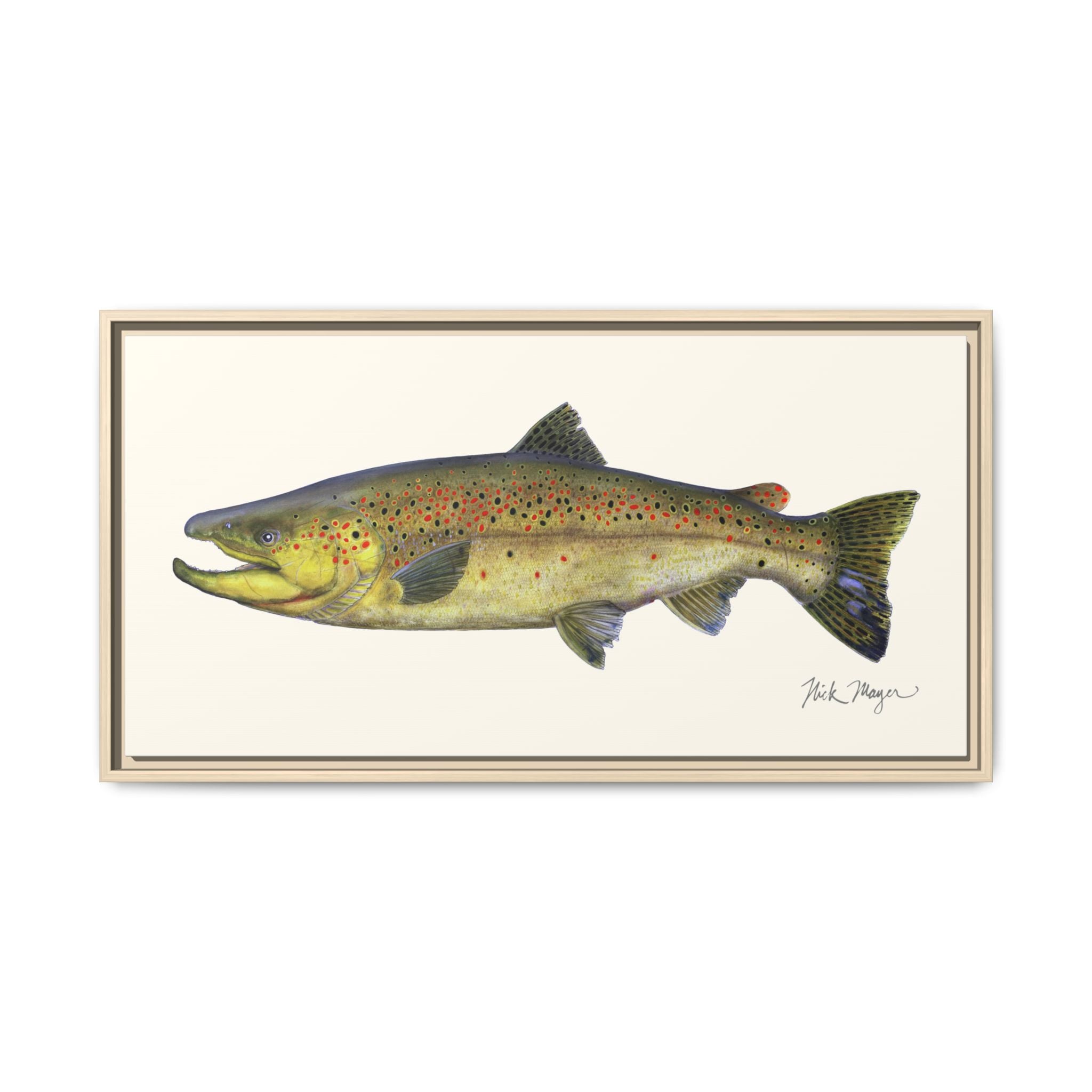 Brown Trout I Framed Canvas Print Printify