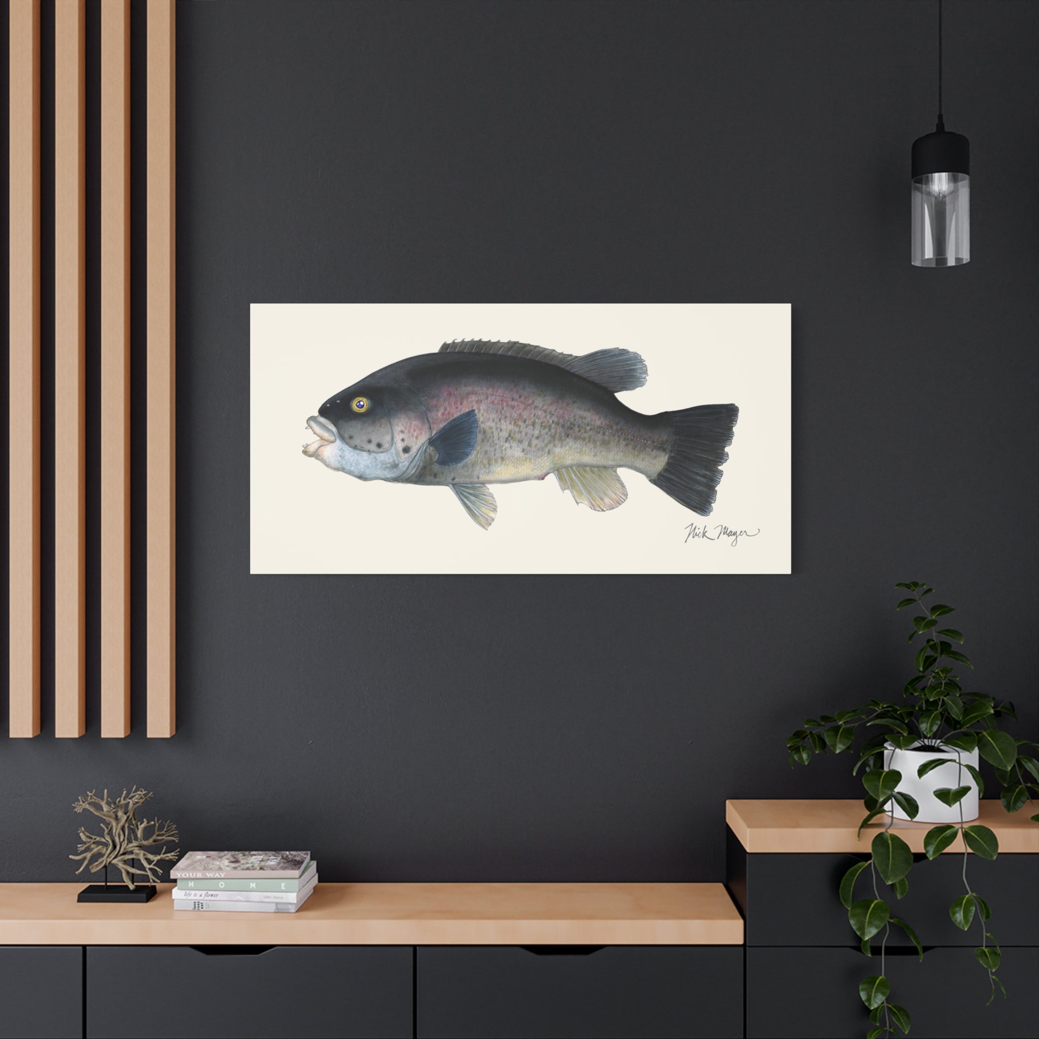 Tautog Canvas Print