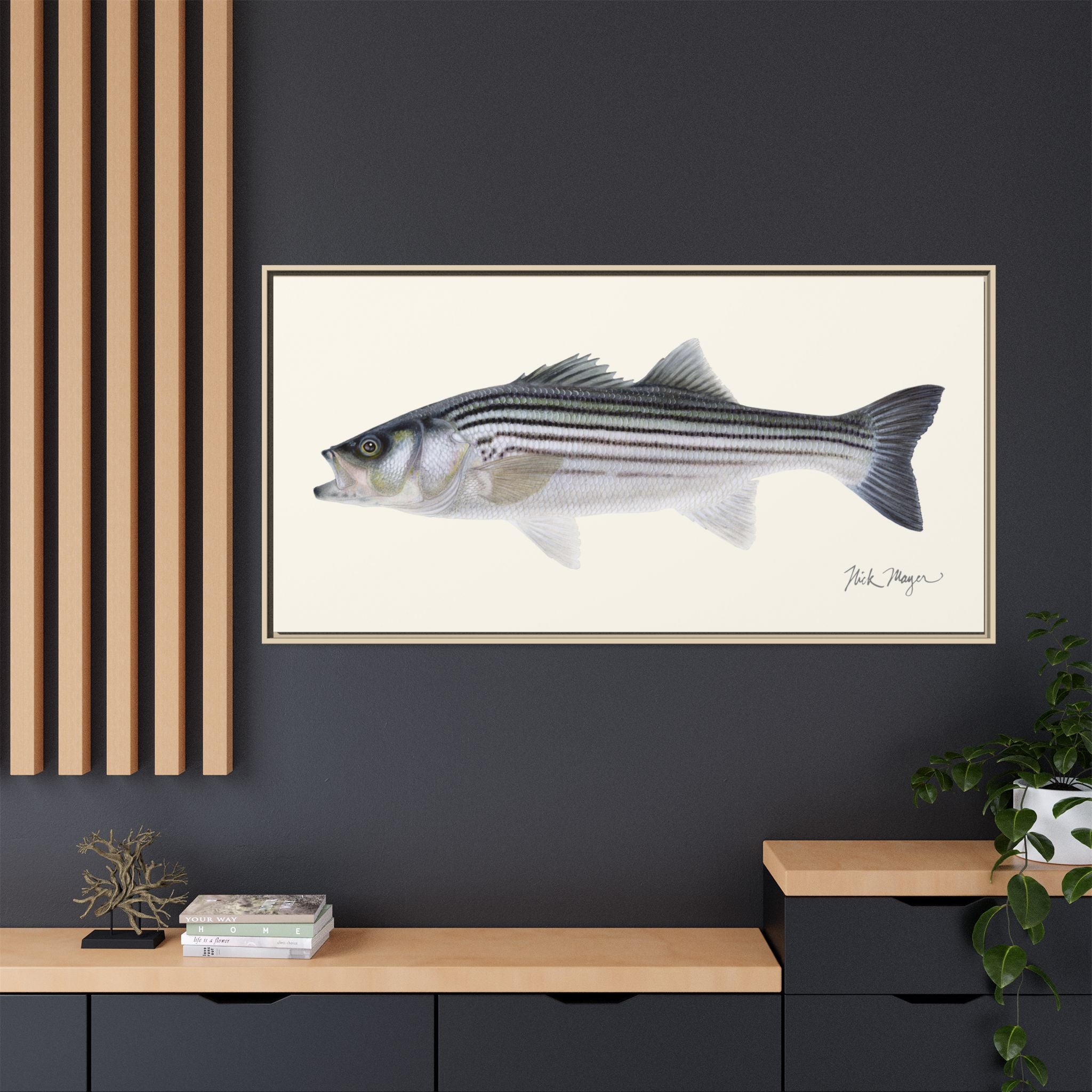 Schoolie Striped Bass Framed Canvas Print Printify