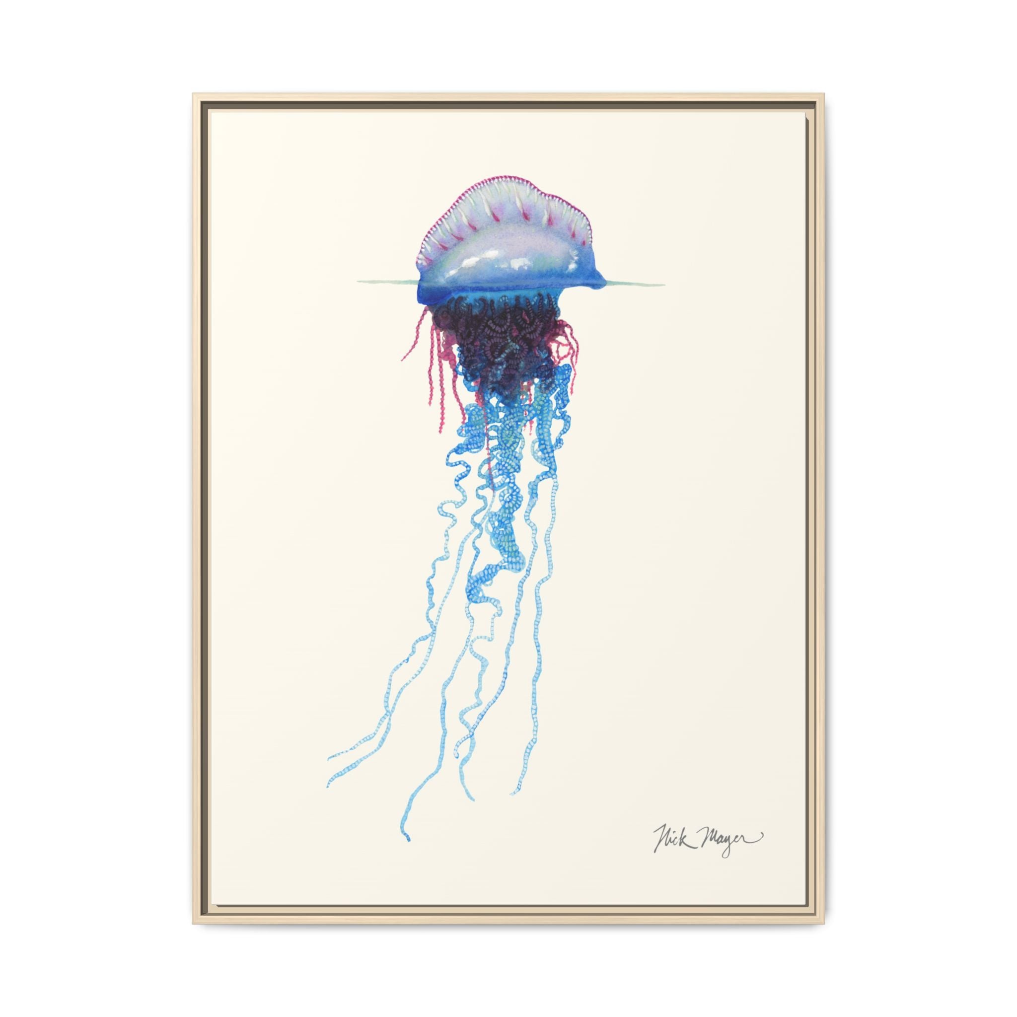 Portuguese Man O' War Framed Canvas Print Printify