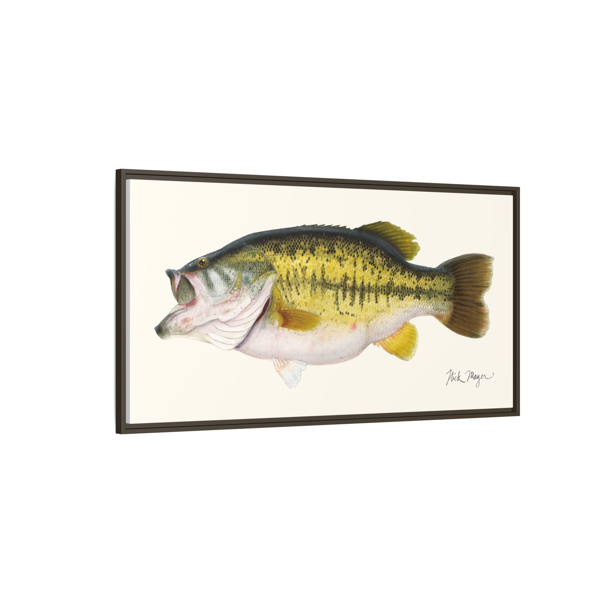 Largemouth Bass II Framed Canvas Print