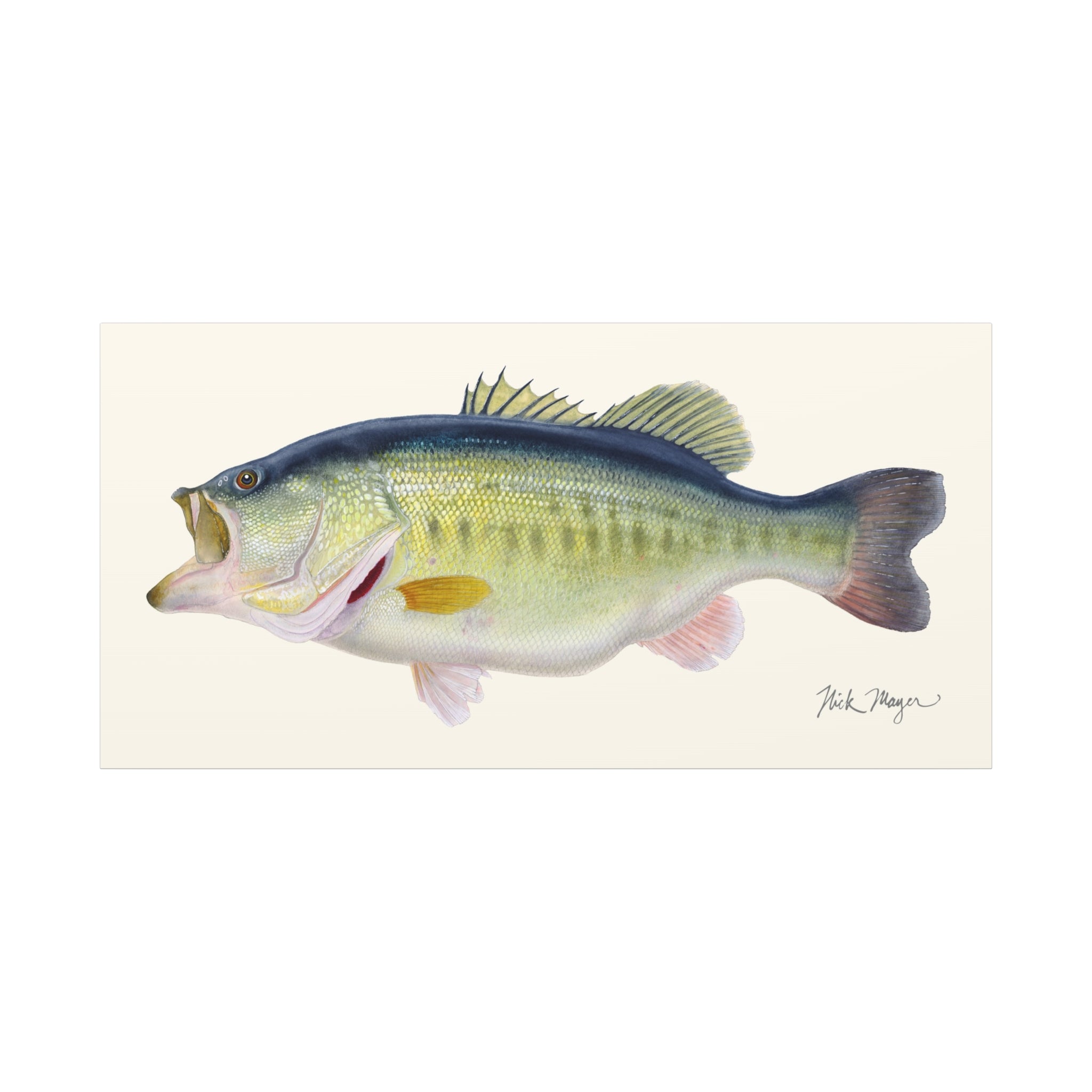 Largemouth Bass III Canvas Print Printify