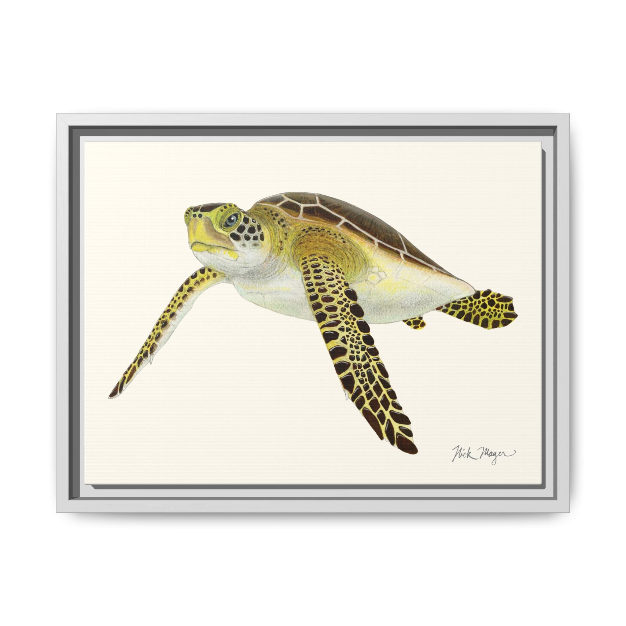 Green Sea Turtle III Framed Canvas Print Printify