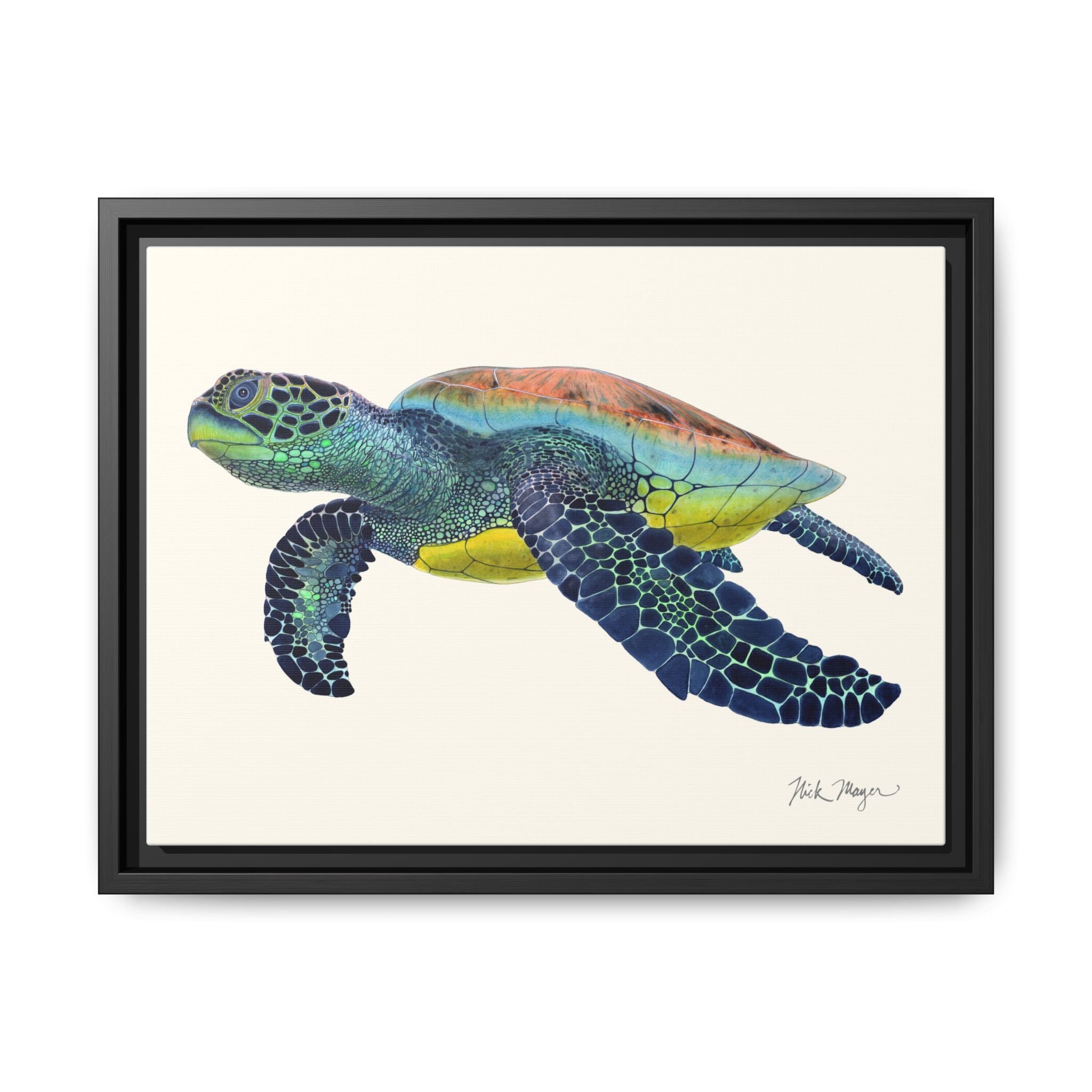 Green Sea Turtle II Framed Canvas Print Printify