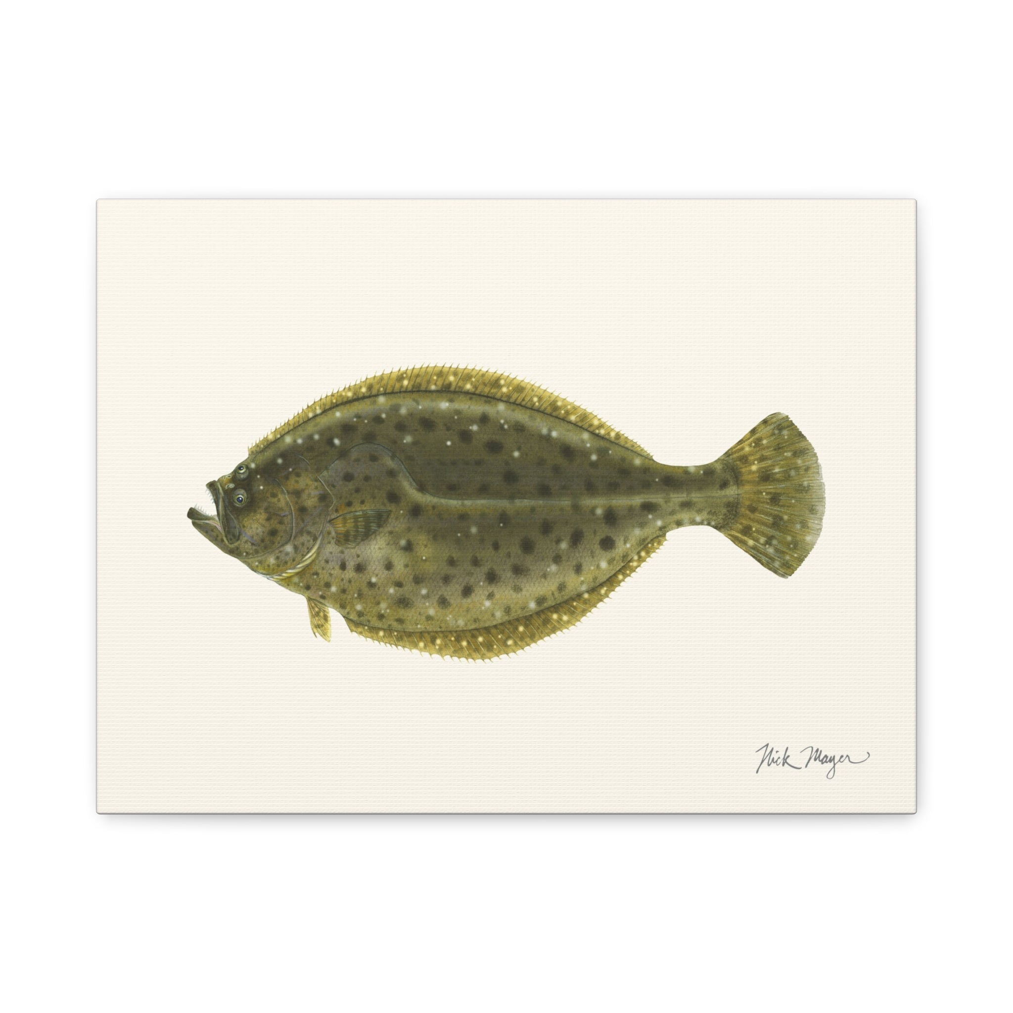 Fluke Canvas Print