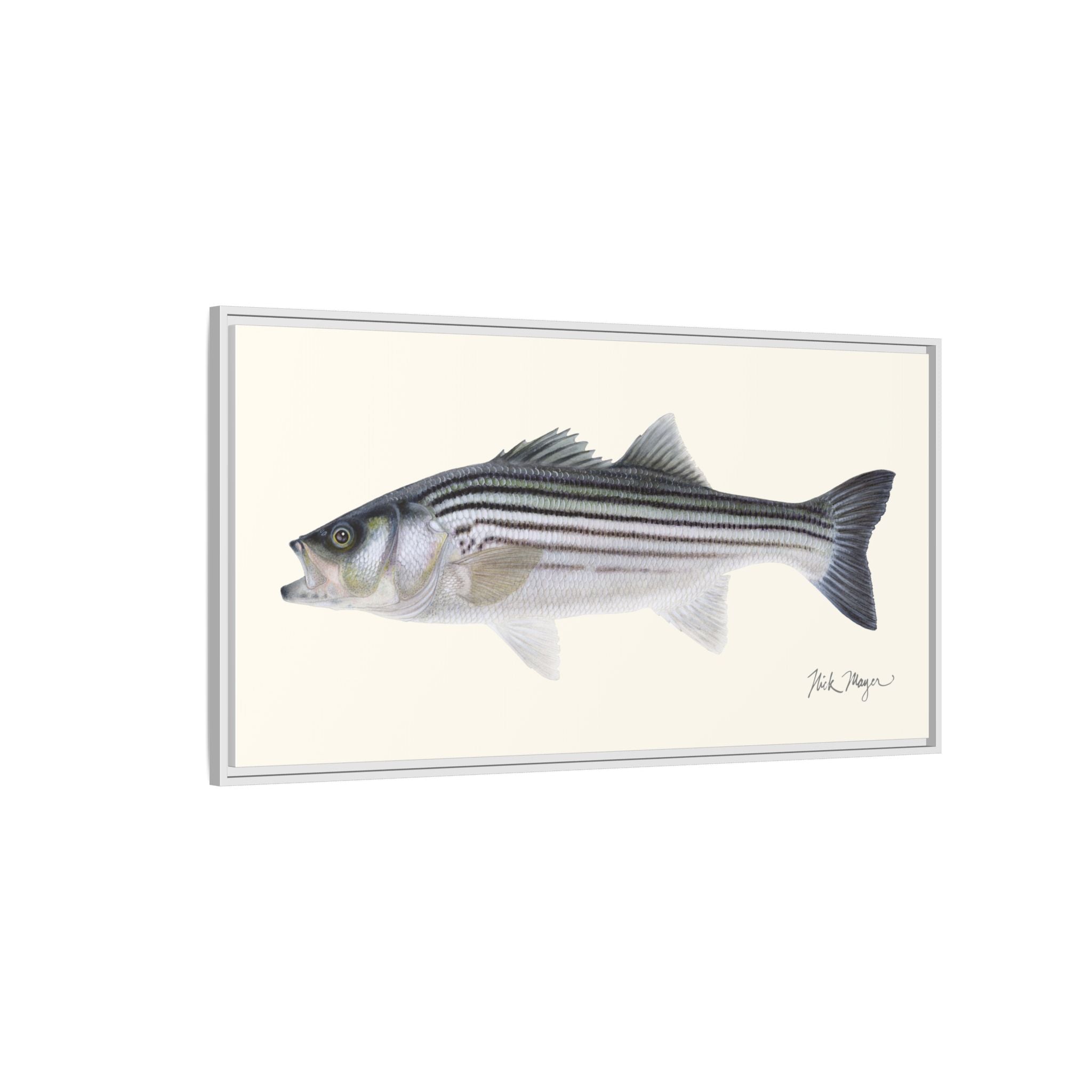 Schoolie Striped Bass Framed Canvas Print Printify
