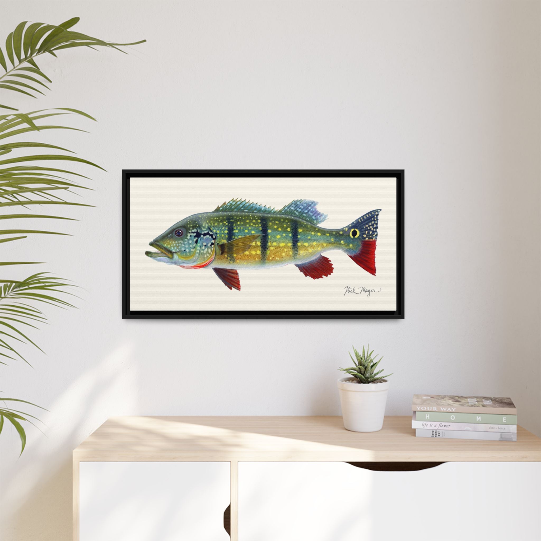 Peacock Bass Framed Canvas Print Printify