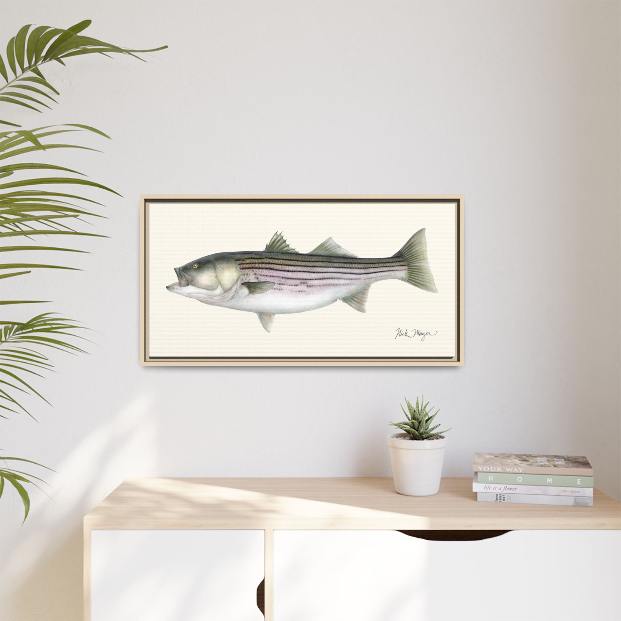 Striped Bass, 30 lbs Framed Canvas Print Printify