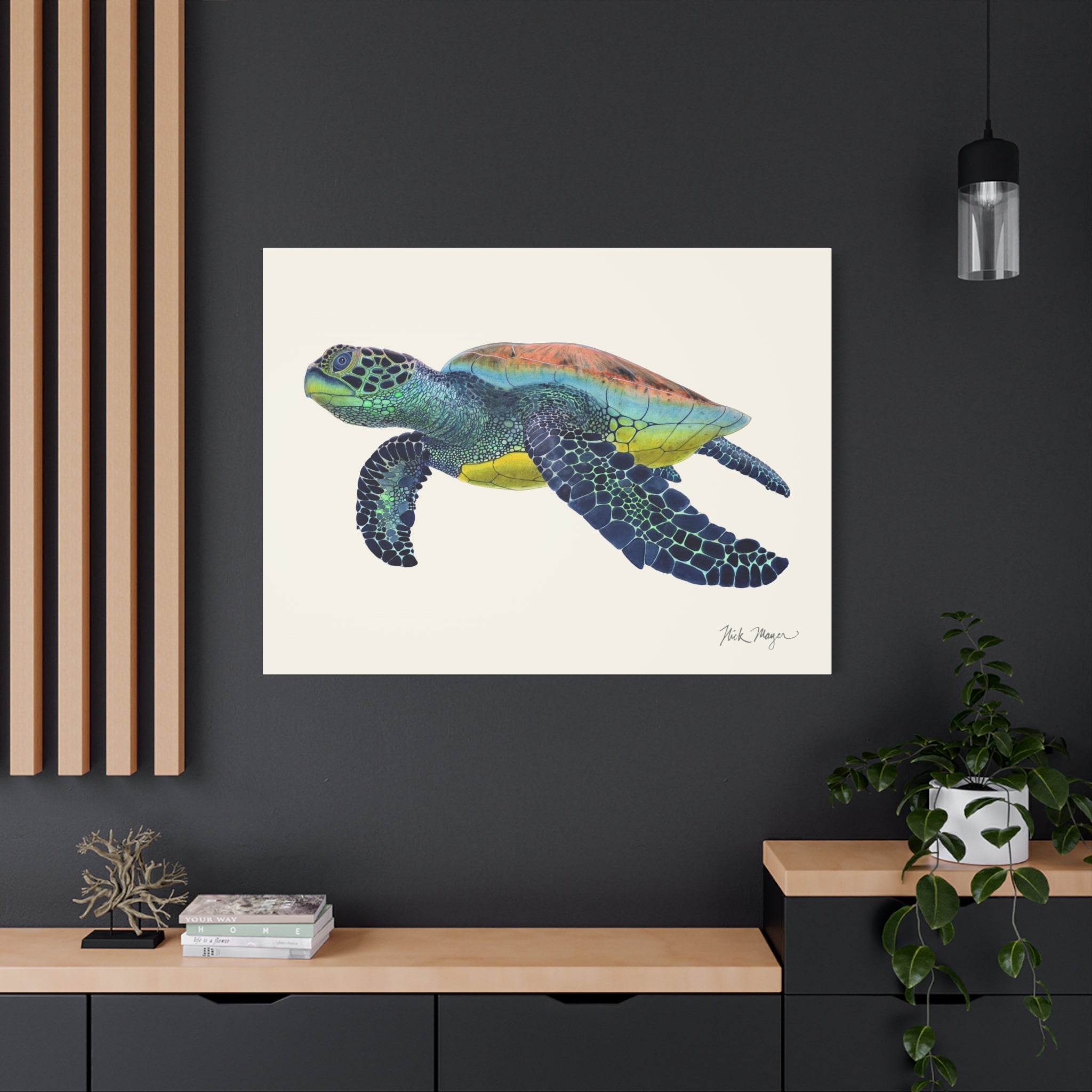 Green Sea Turtle II Canvas Print