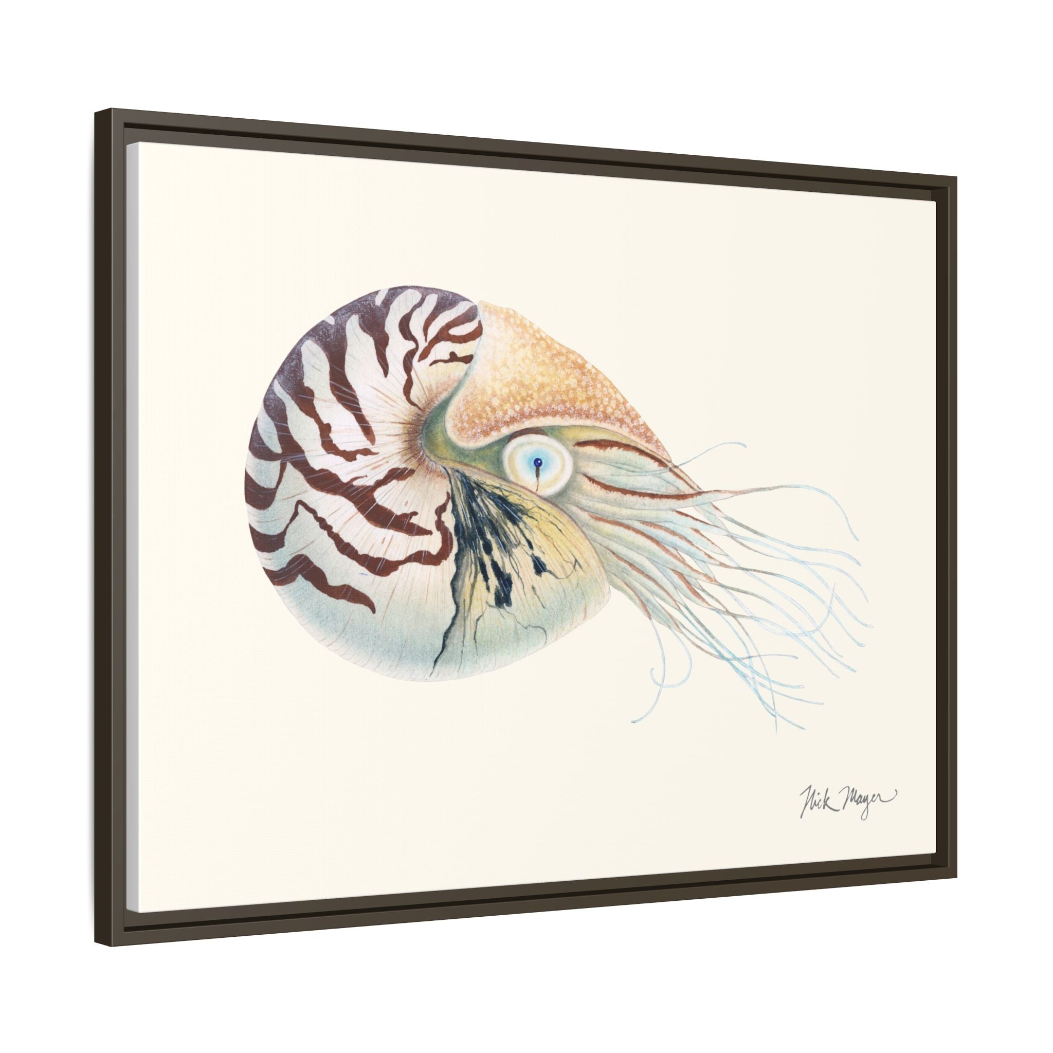 Chambered Nautilus Framed Canvas Print Printify