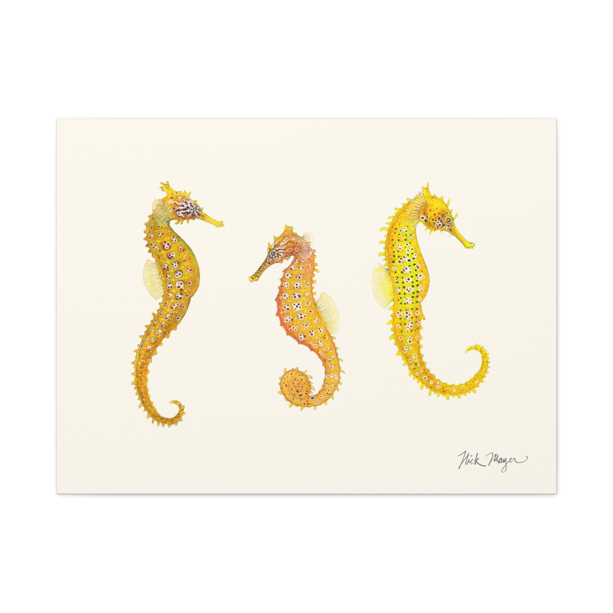Giant Seahorse Trio Canvas Print
