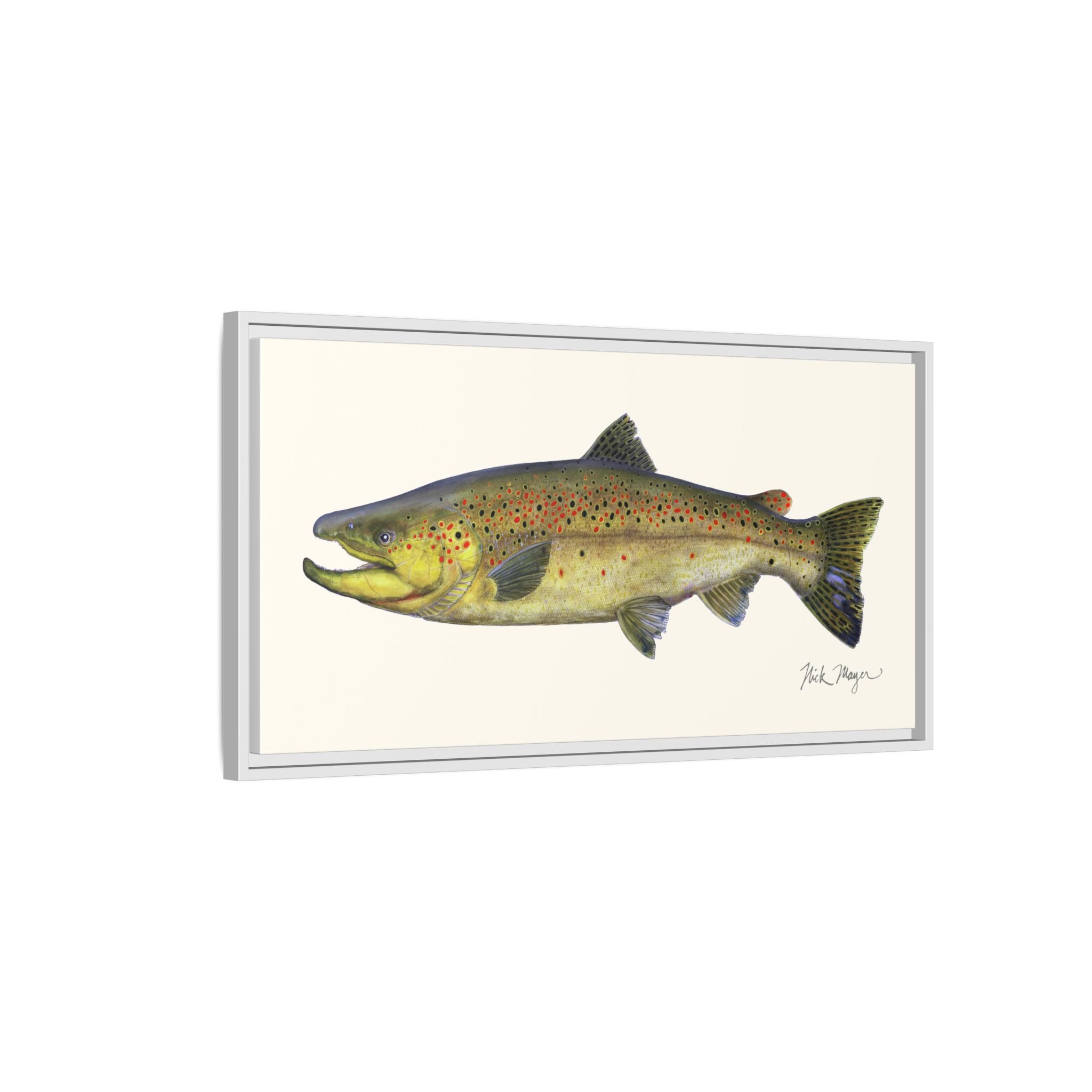 Brown Trout I Framed Canvas Print Printify
