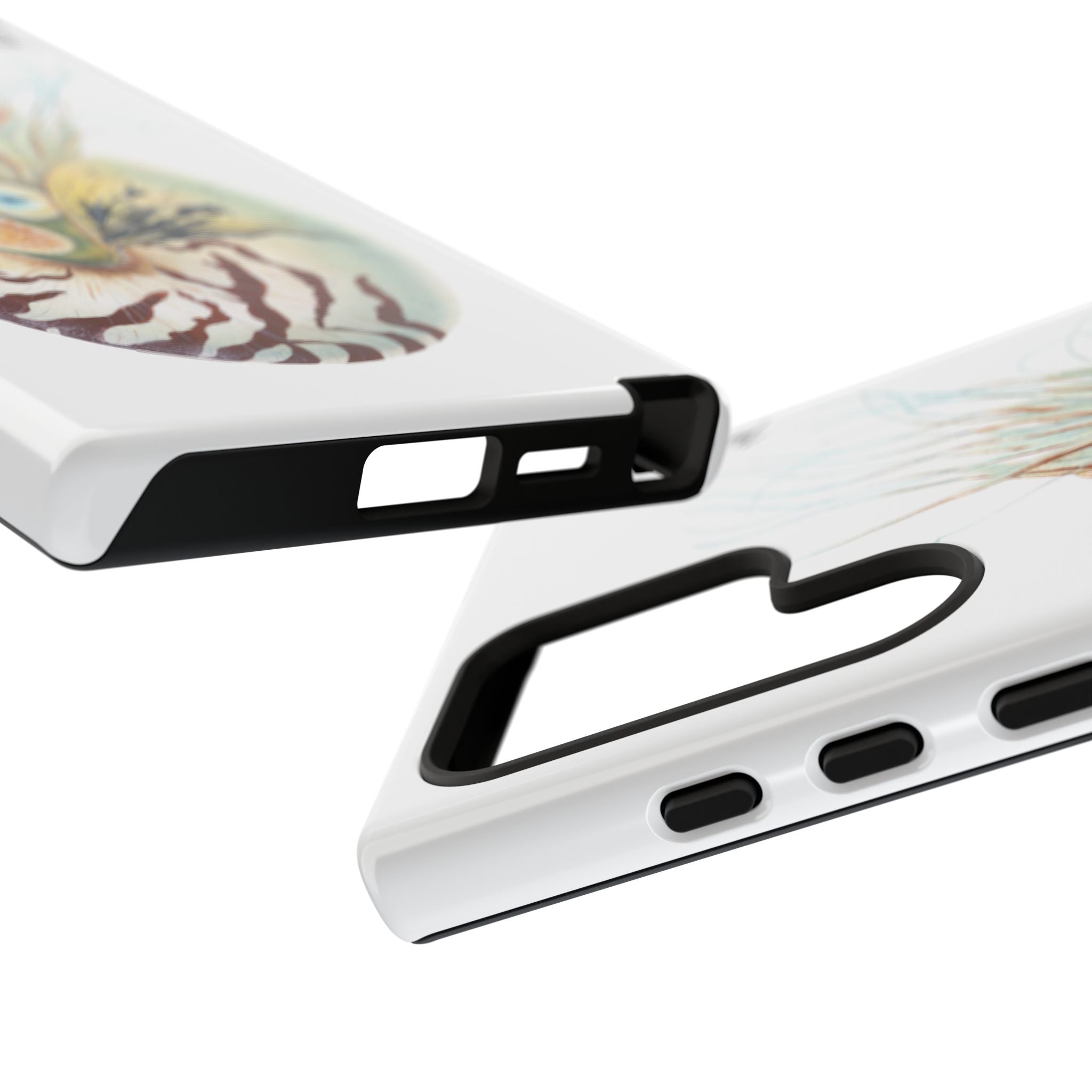 Chambered Nautilus Phone Case (Samsung) Printify