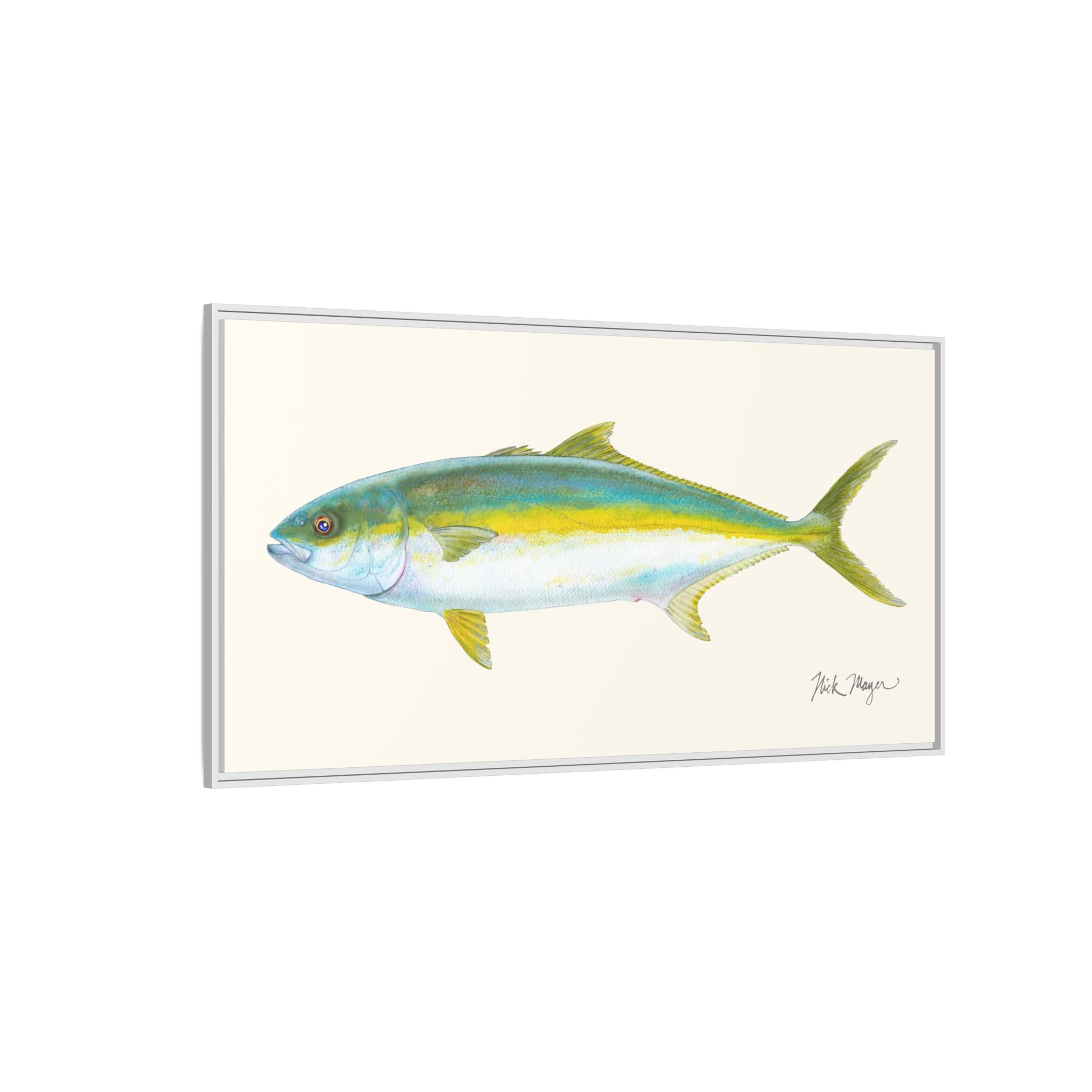 California Yellowtail I Framed Canvas Print Printify