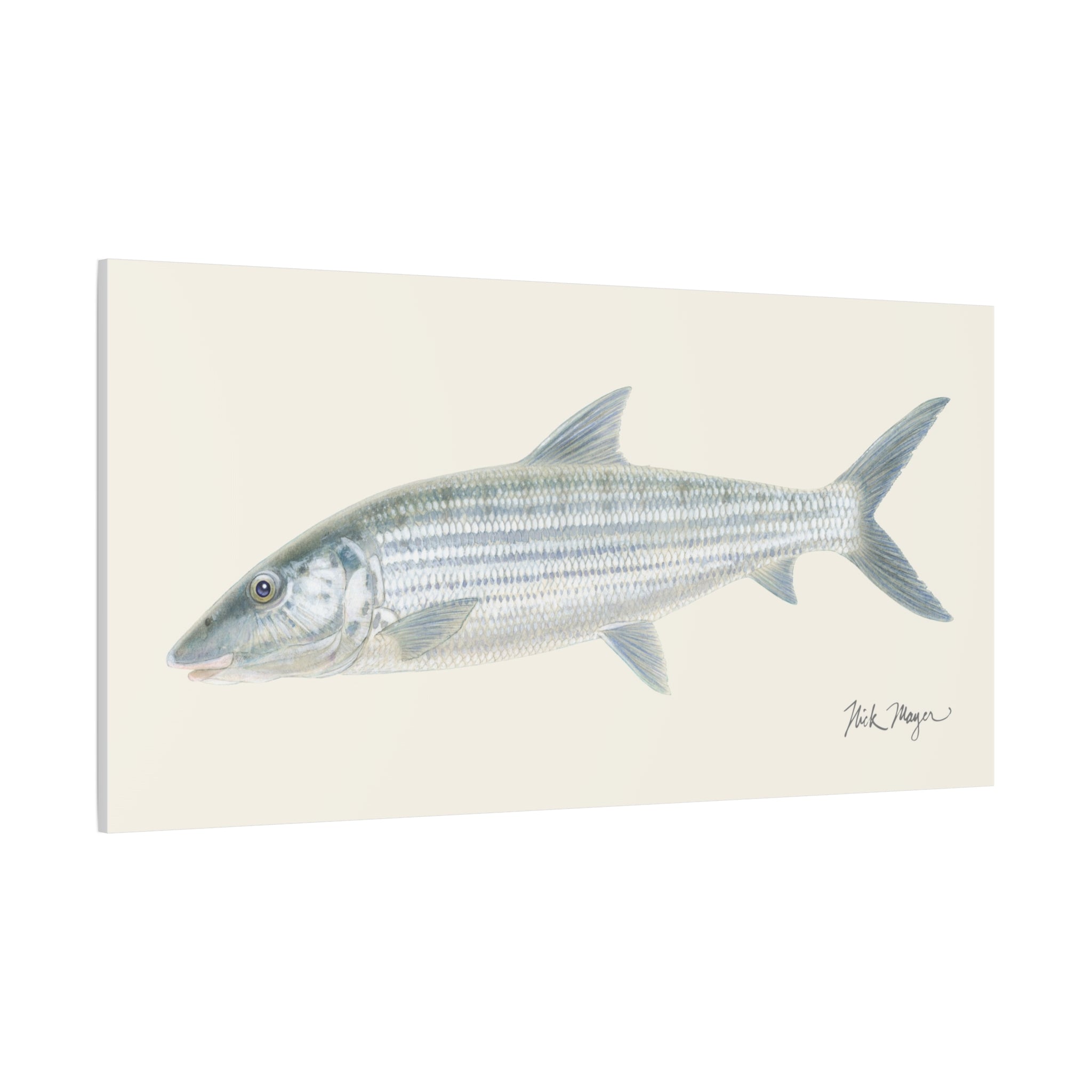 Bonefish Canvas Print