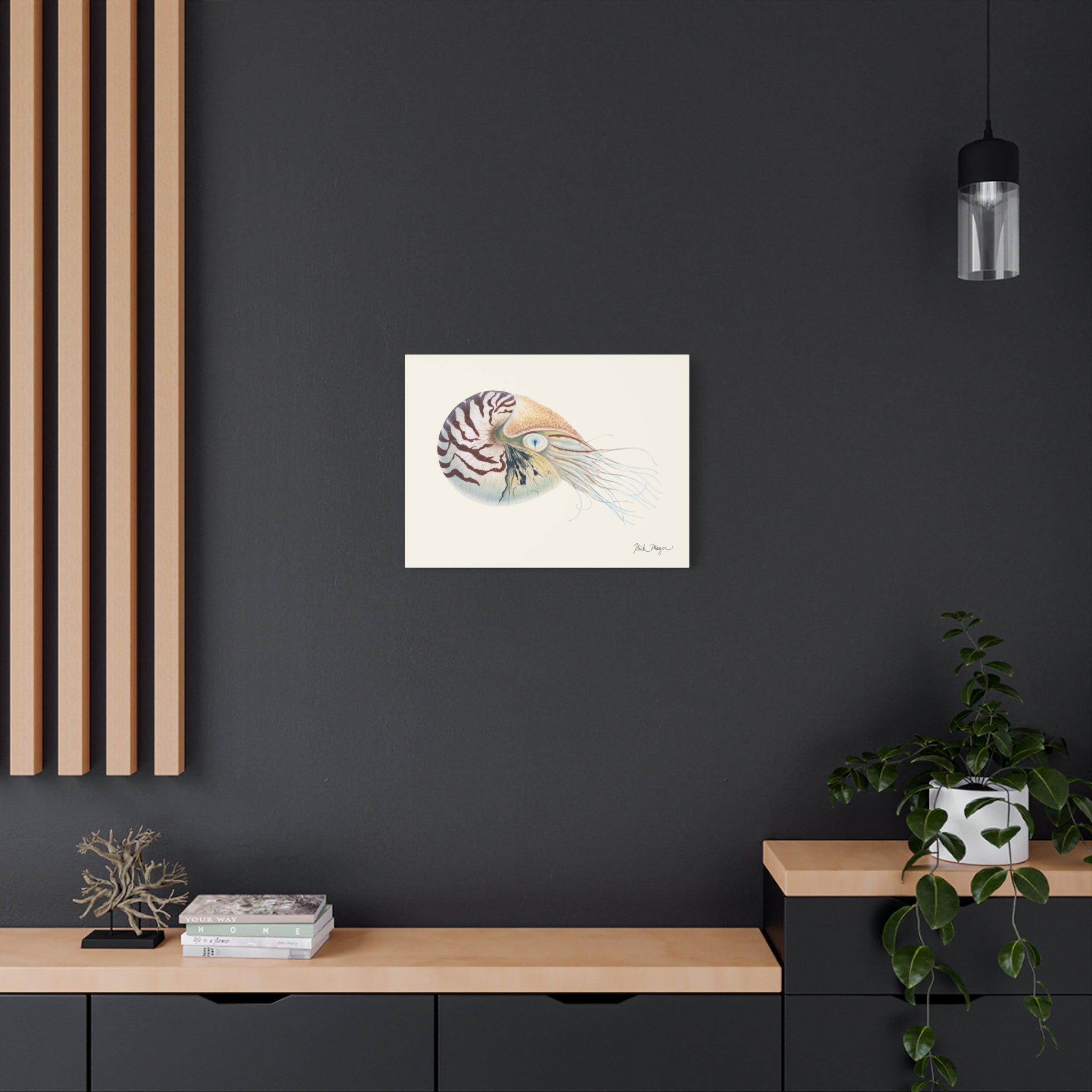 Chambered Nautilus Canvas Print