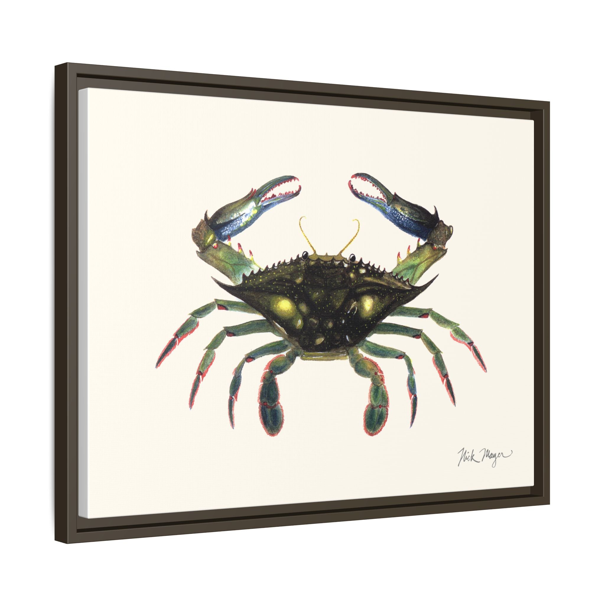 Blue Crab, Claws in Framed Canvas Print Printify