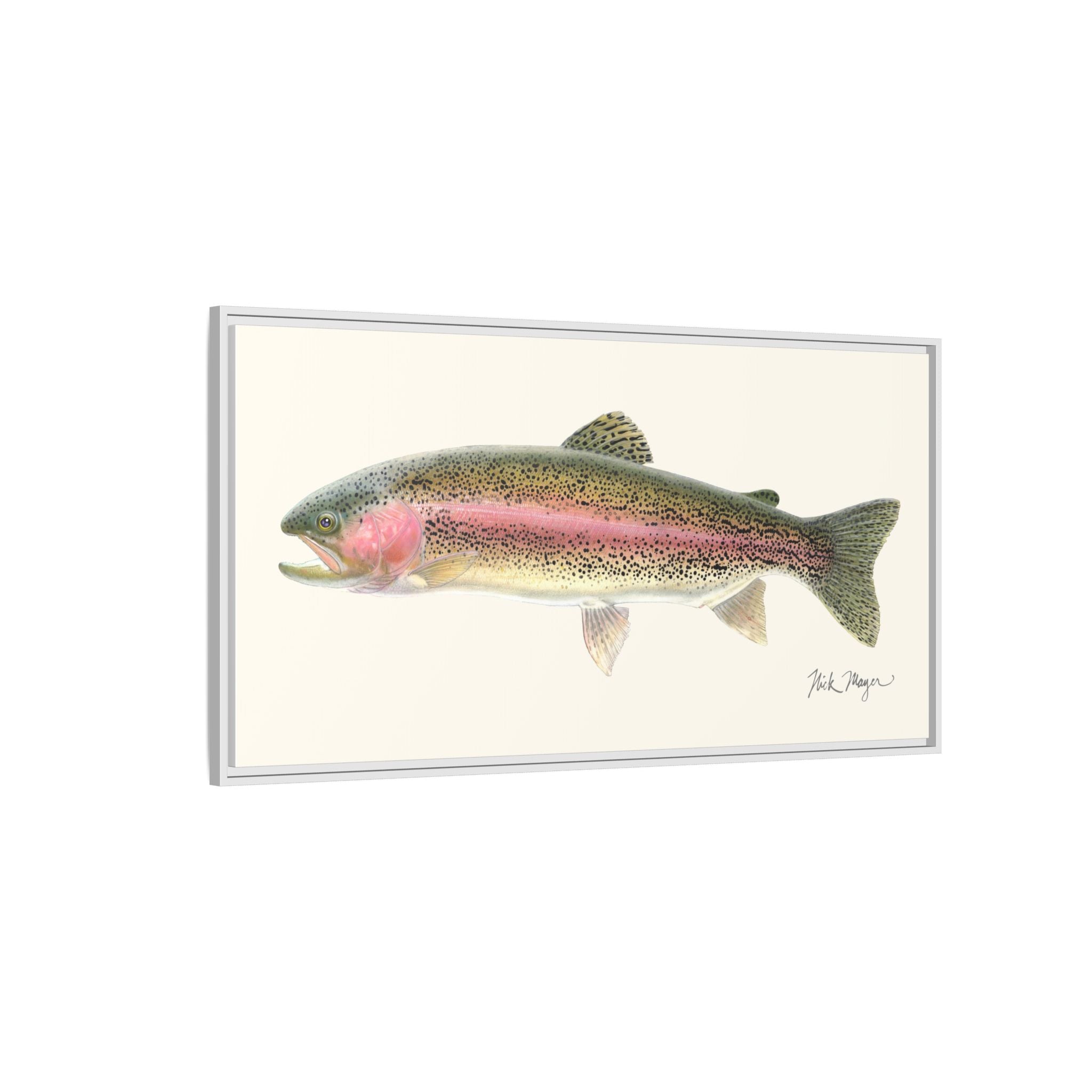 Rainbow Trout Framed Canvas Print Printify