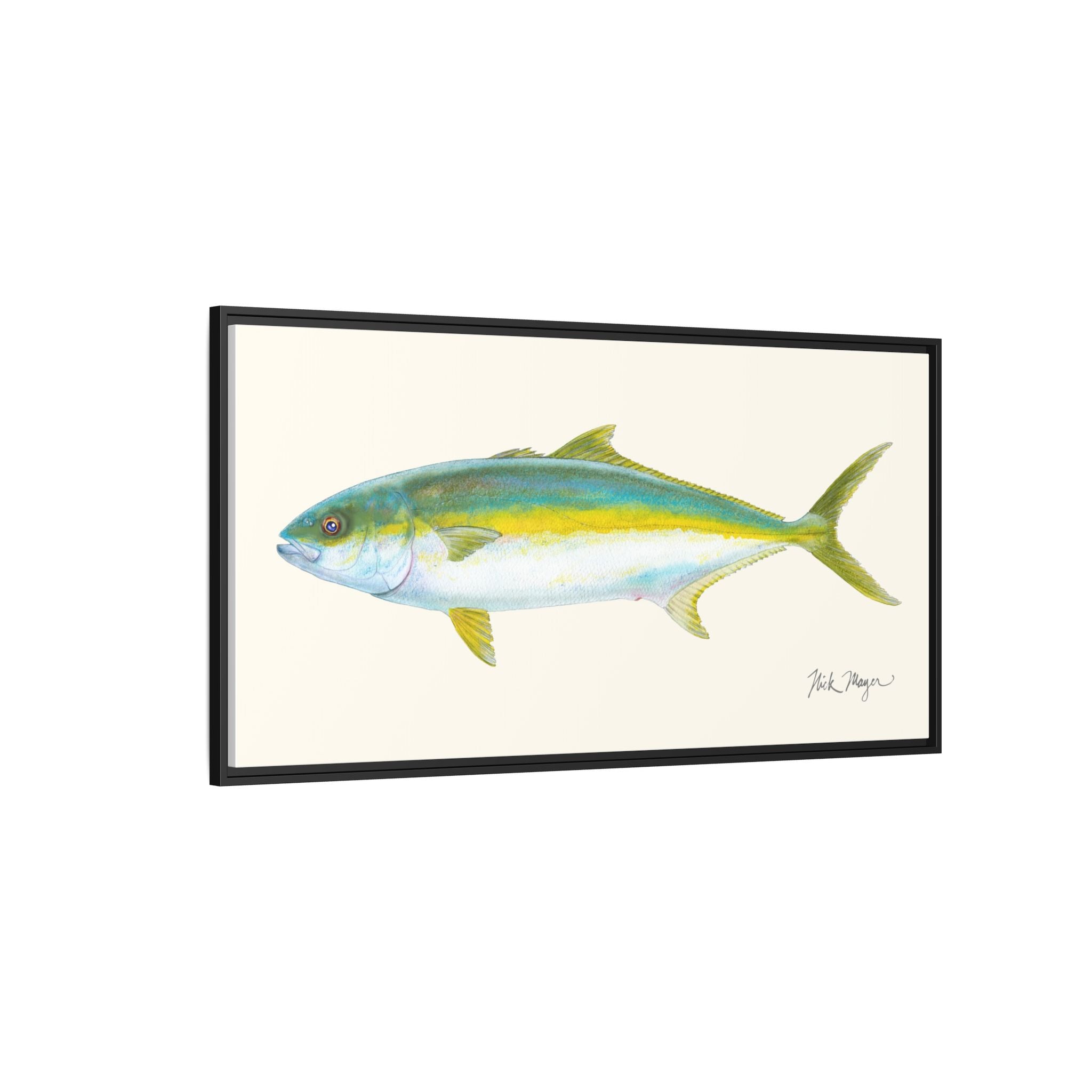 California Yellowtail I Framed Canvas Print Printify
