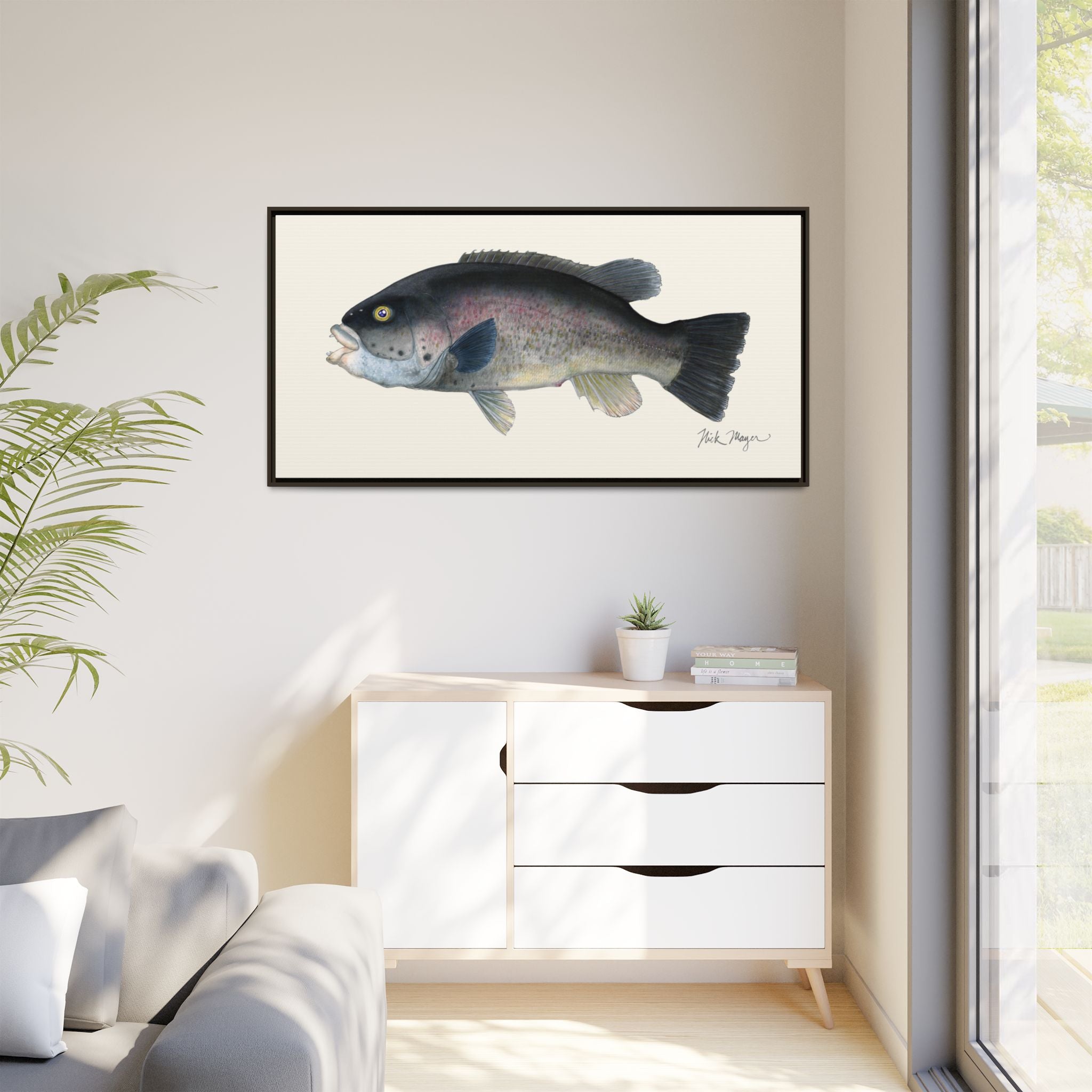 Tautog / Blackfish Framed Canvas Print Printify