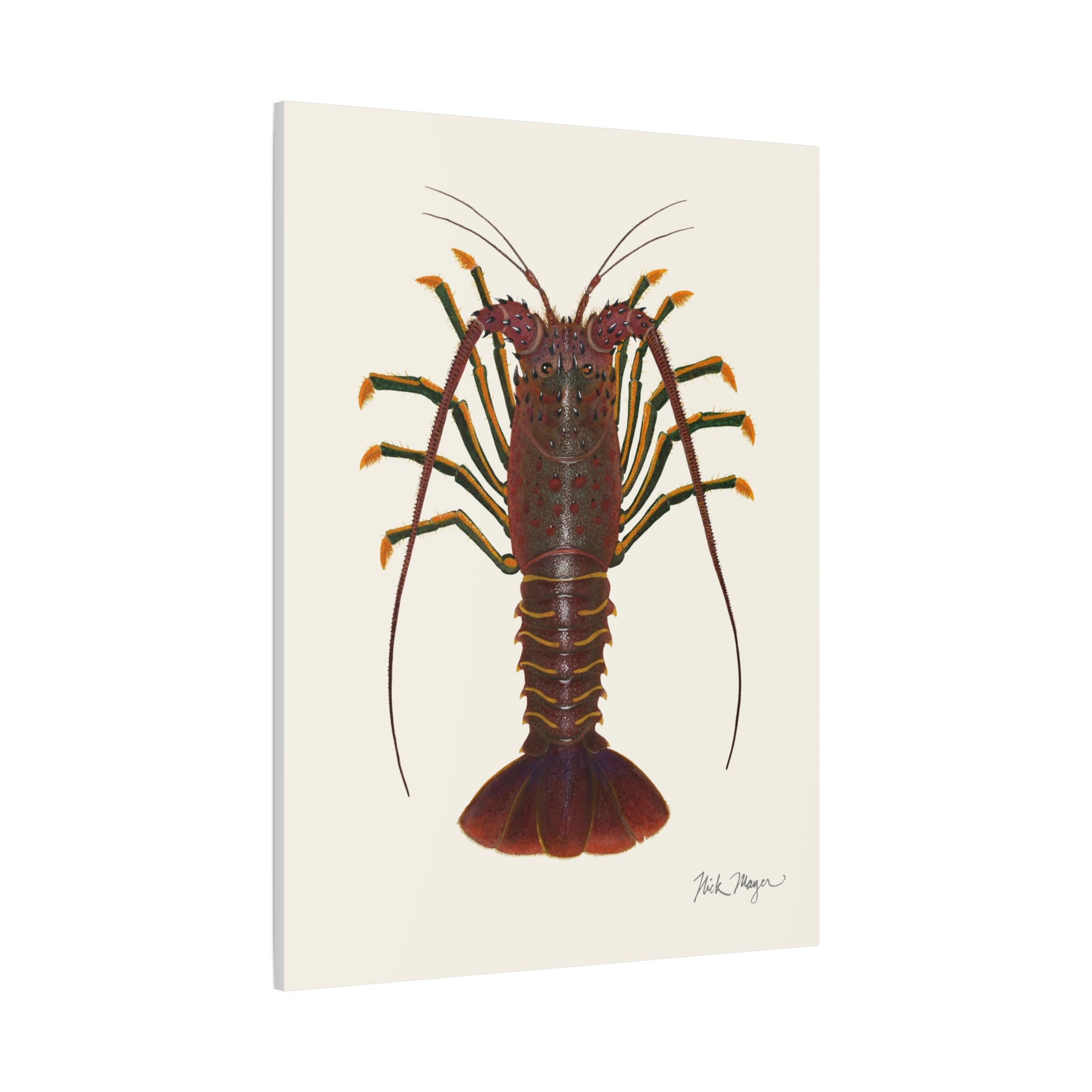 Spiny Lobster Canvas Print