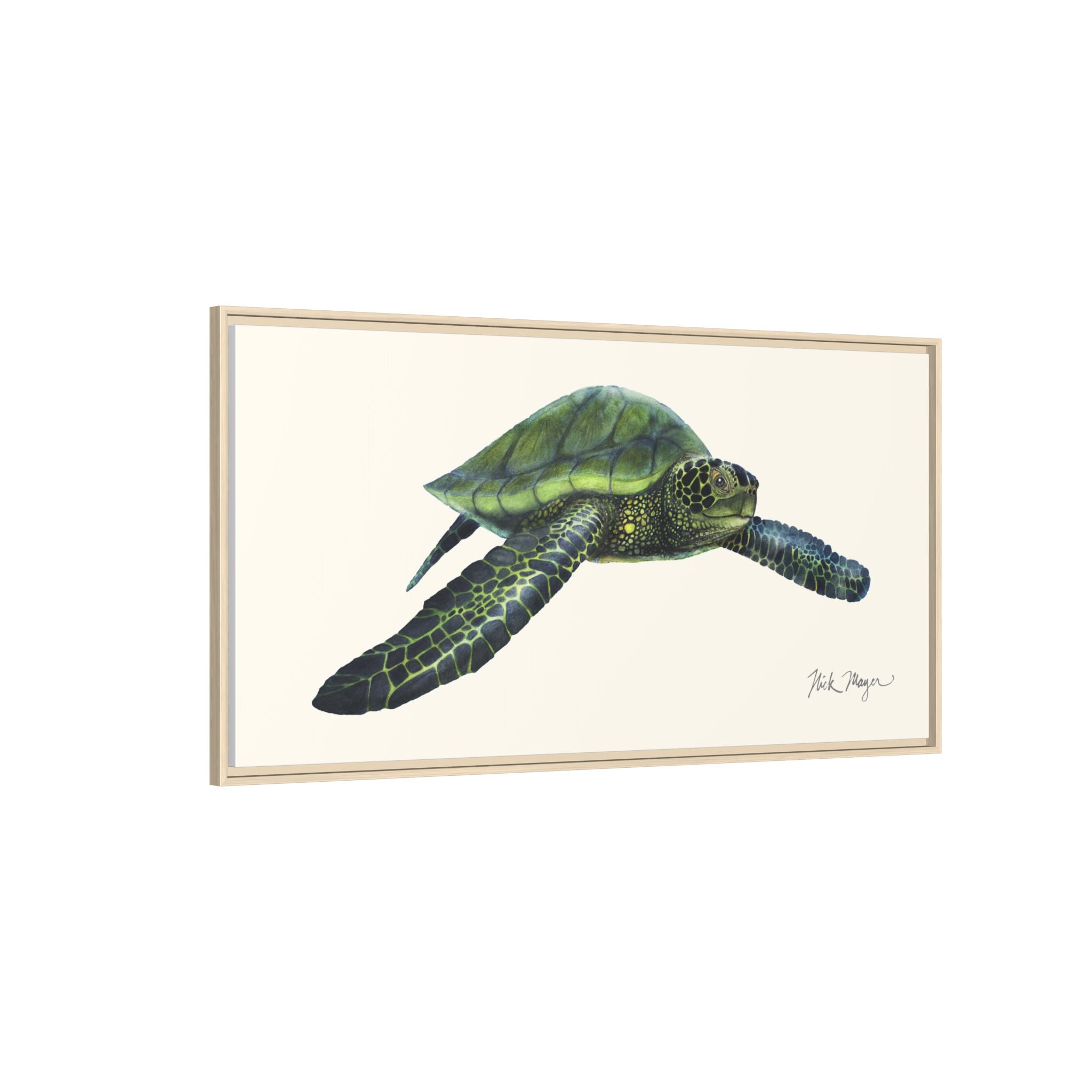 Green Sea Turtle I Framed Canvas Print Printify