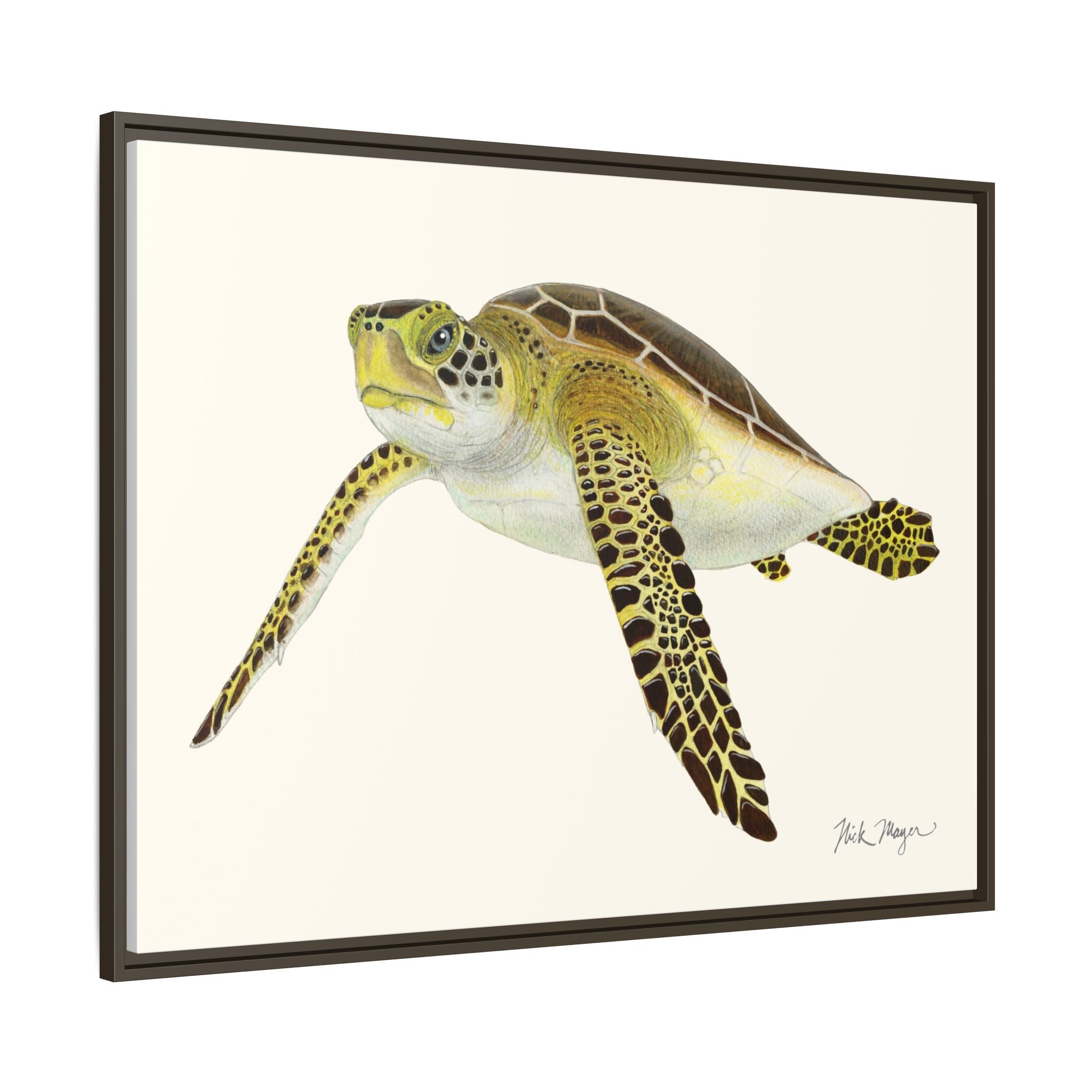 Green Sea Turtle III Framed Canvas Print Printify