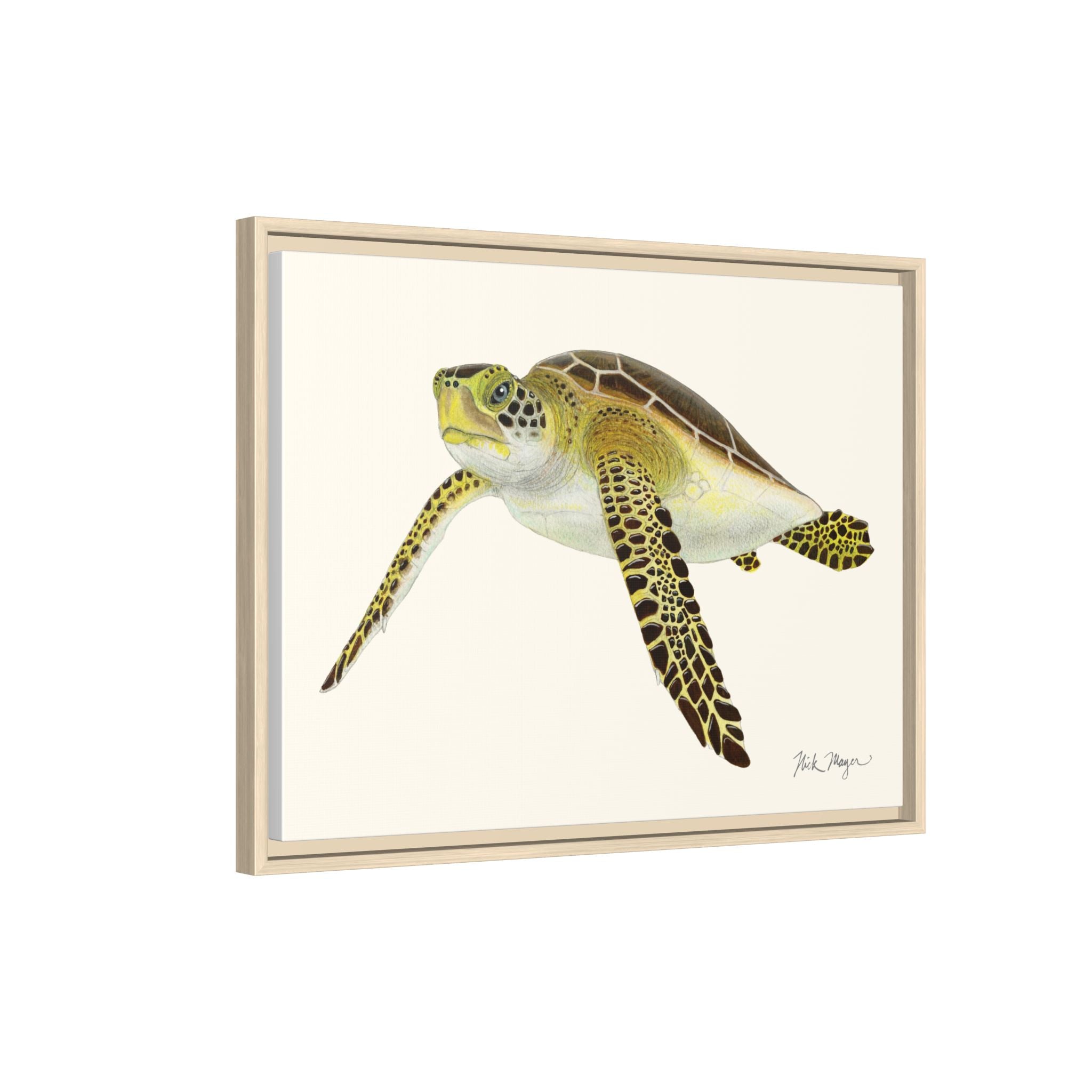 Green Sea Turtle III Framed Canvas Print Printify