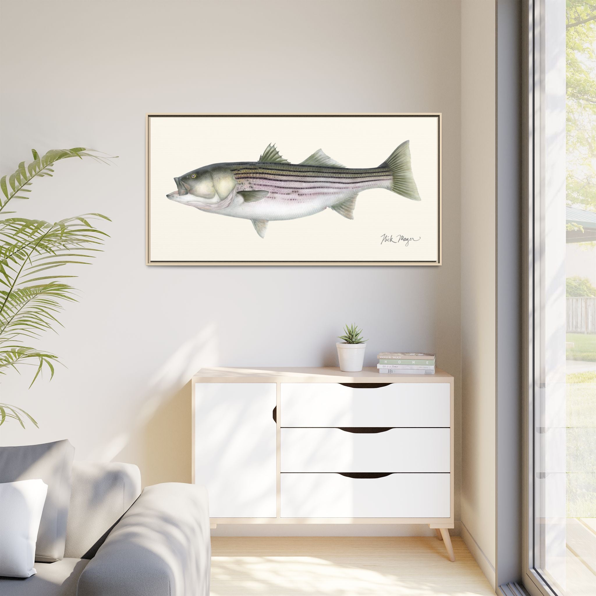 Striped Bass, 30 lbs Framed Canvas Print Printify