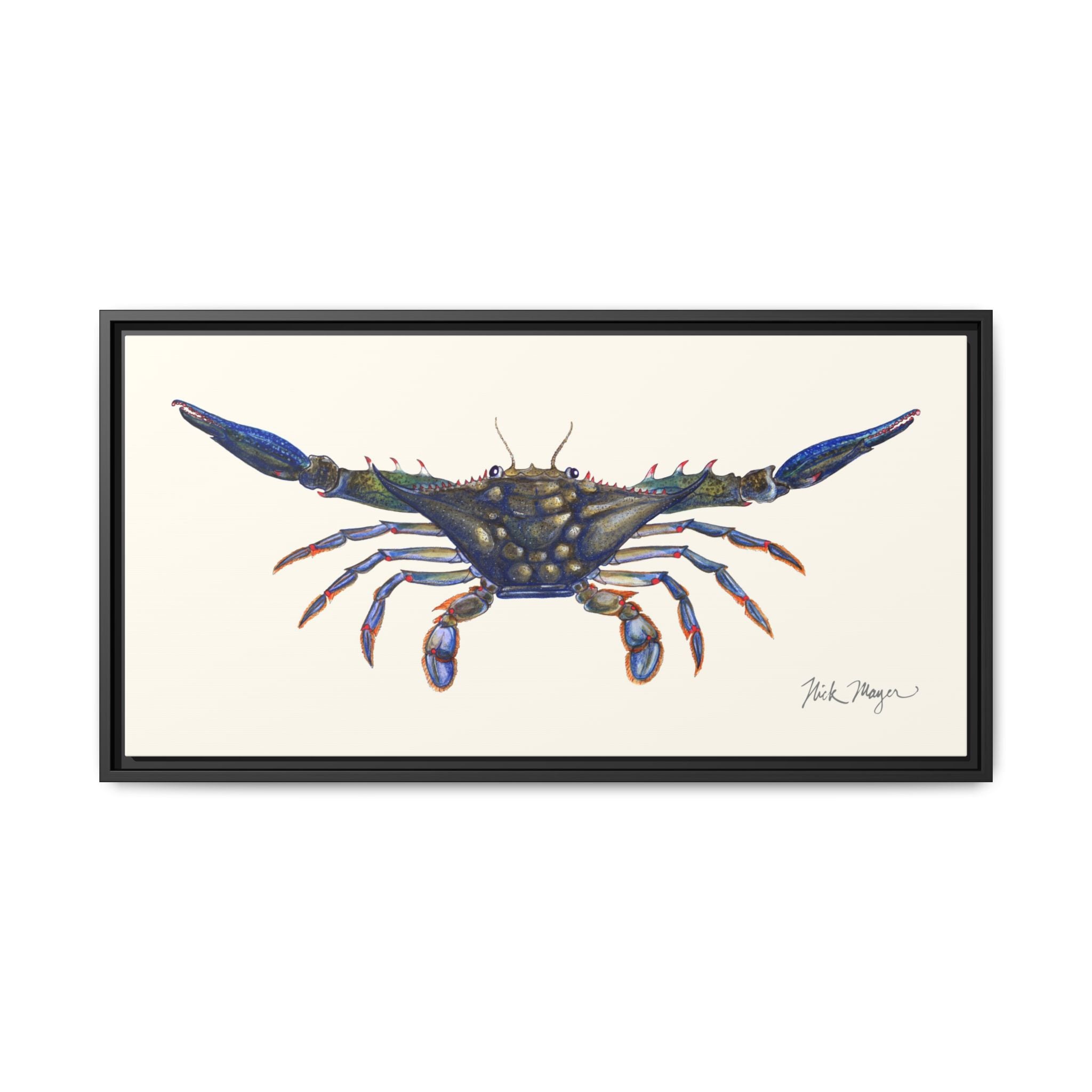 Blue Crab, Claws Out Framed Canvas Print Printify