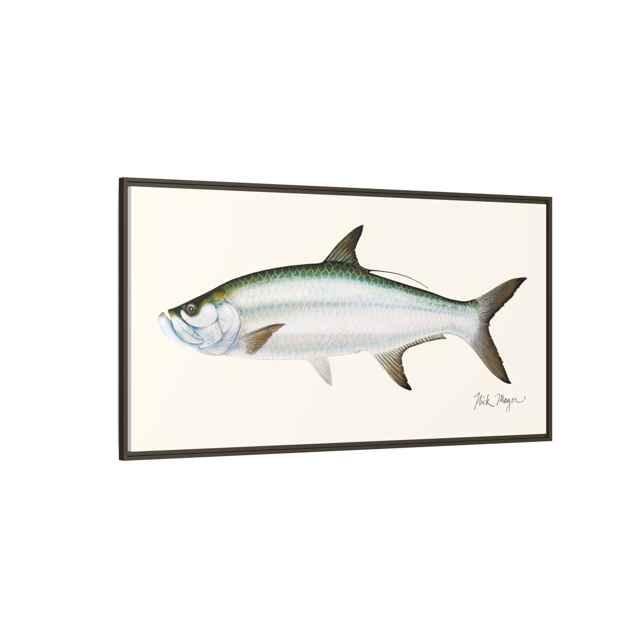 Tarpon Framed Canvas Print Printify