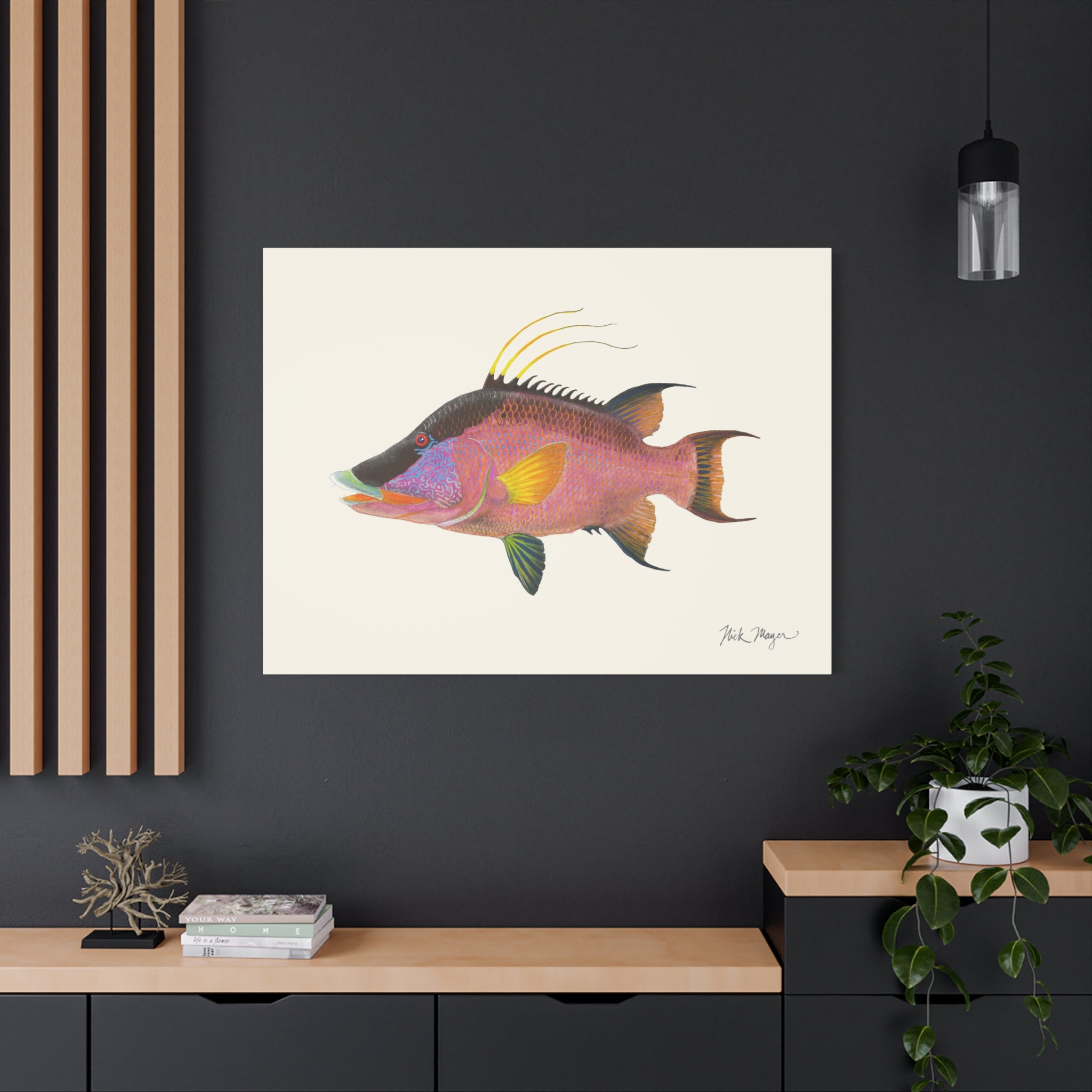 Hogfish Canvas Print